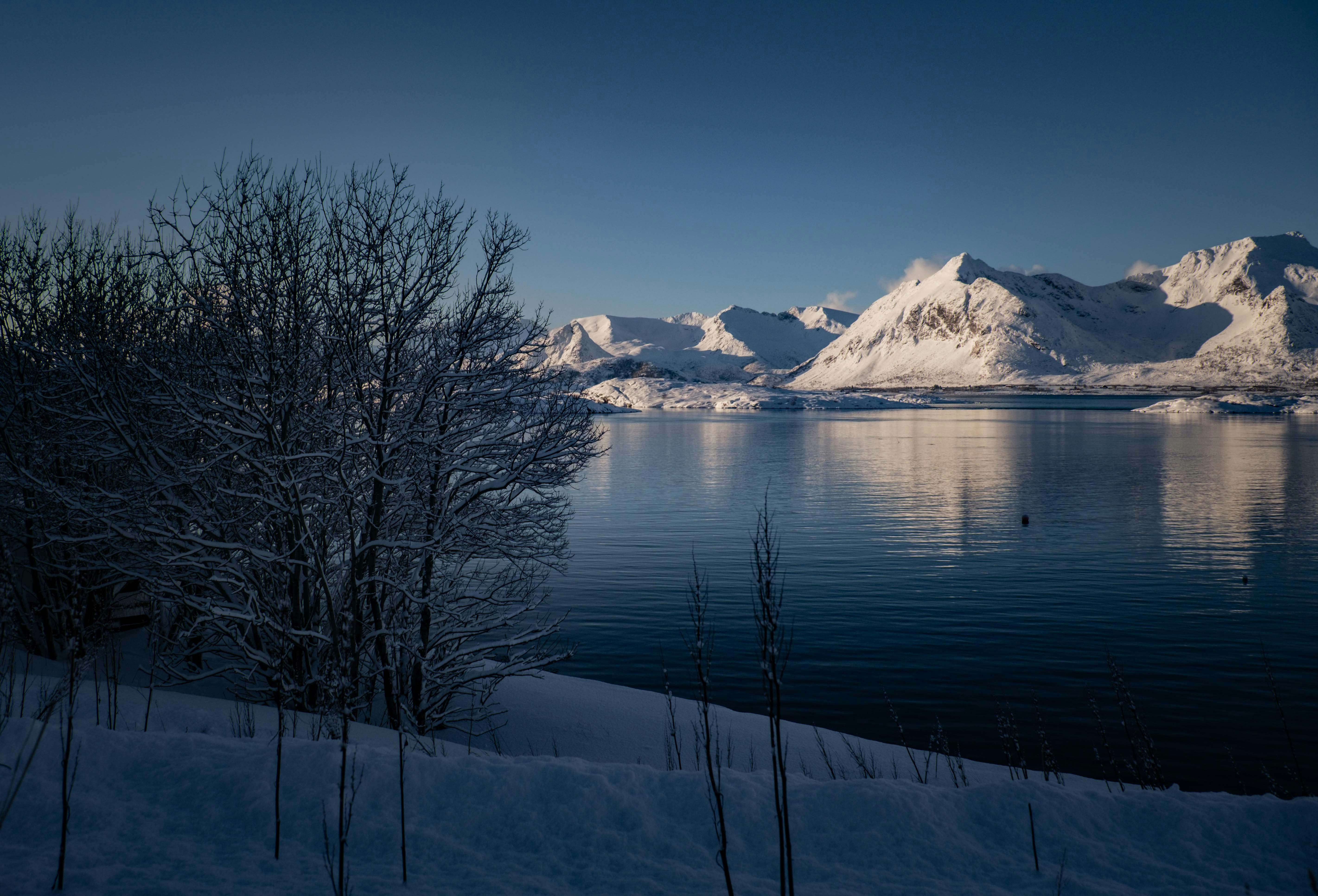 Photo by francesco_ungaro