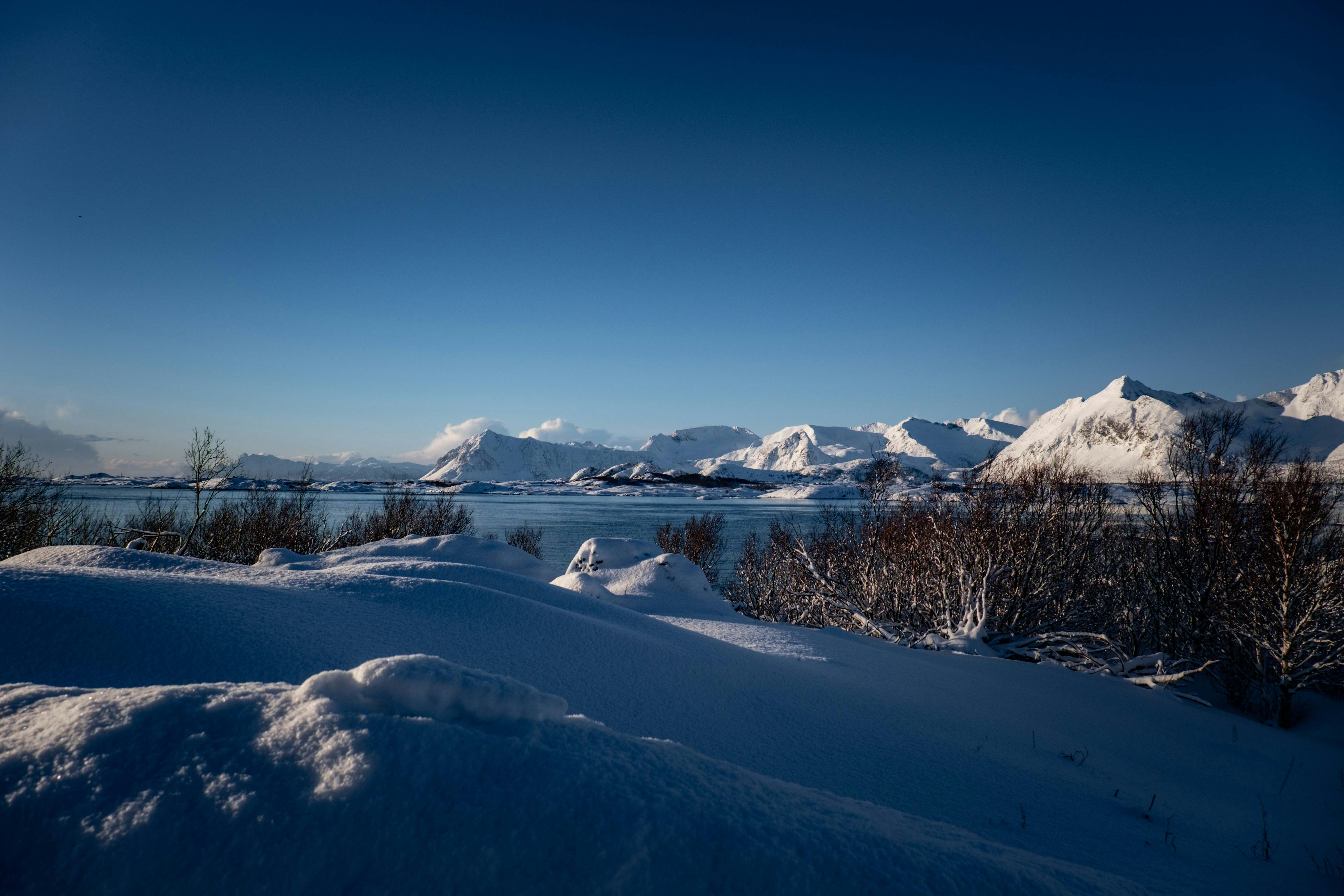 Photo by francesco_ungaro