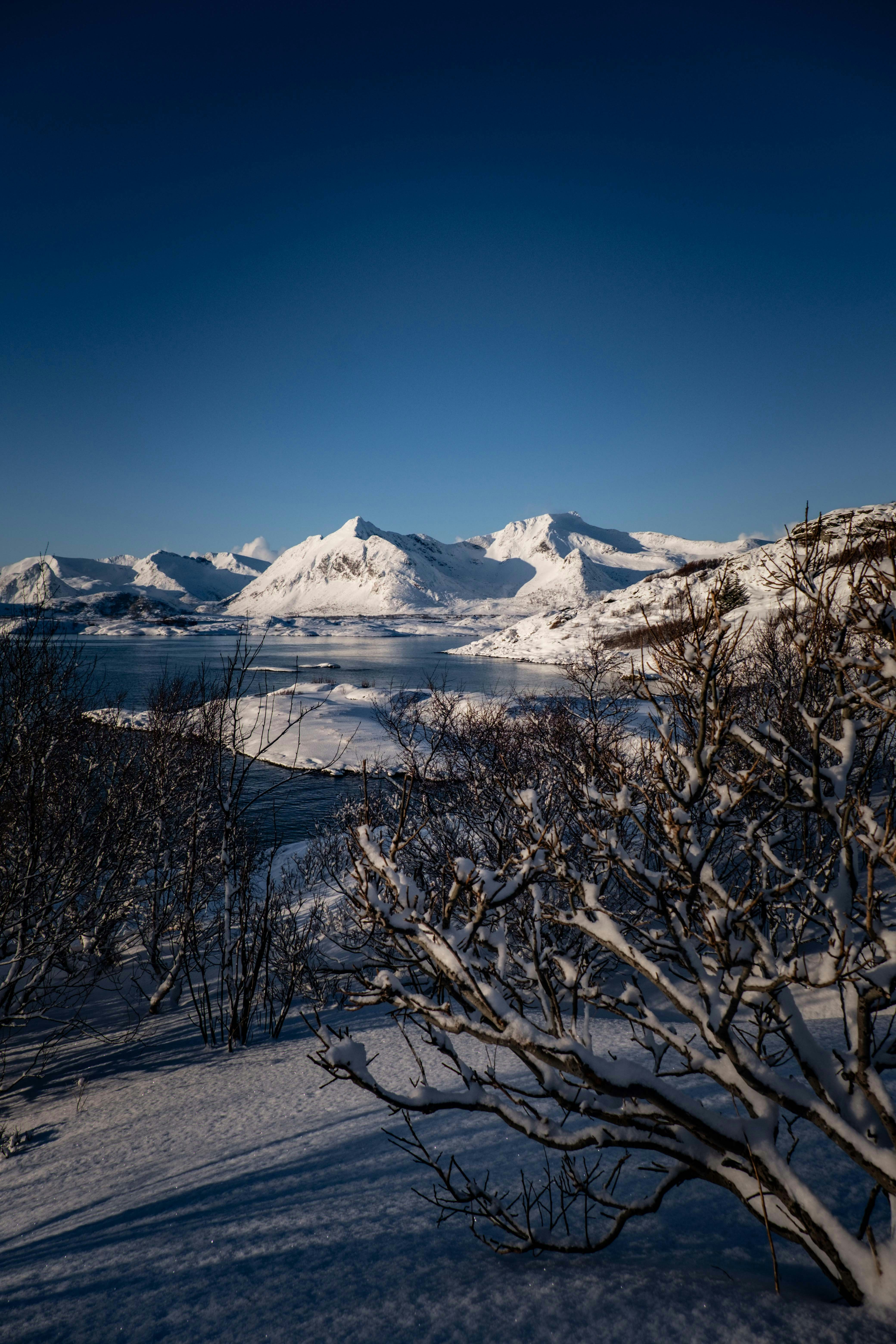 Photo by francesco_ungaro