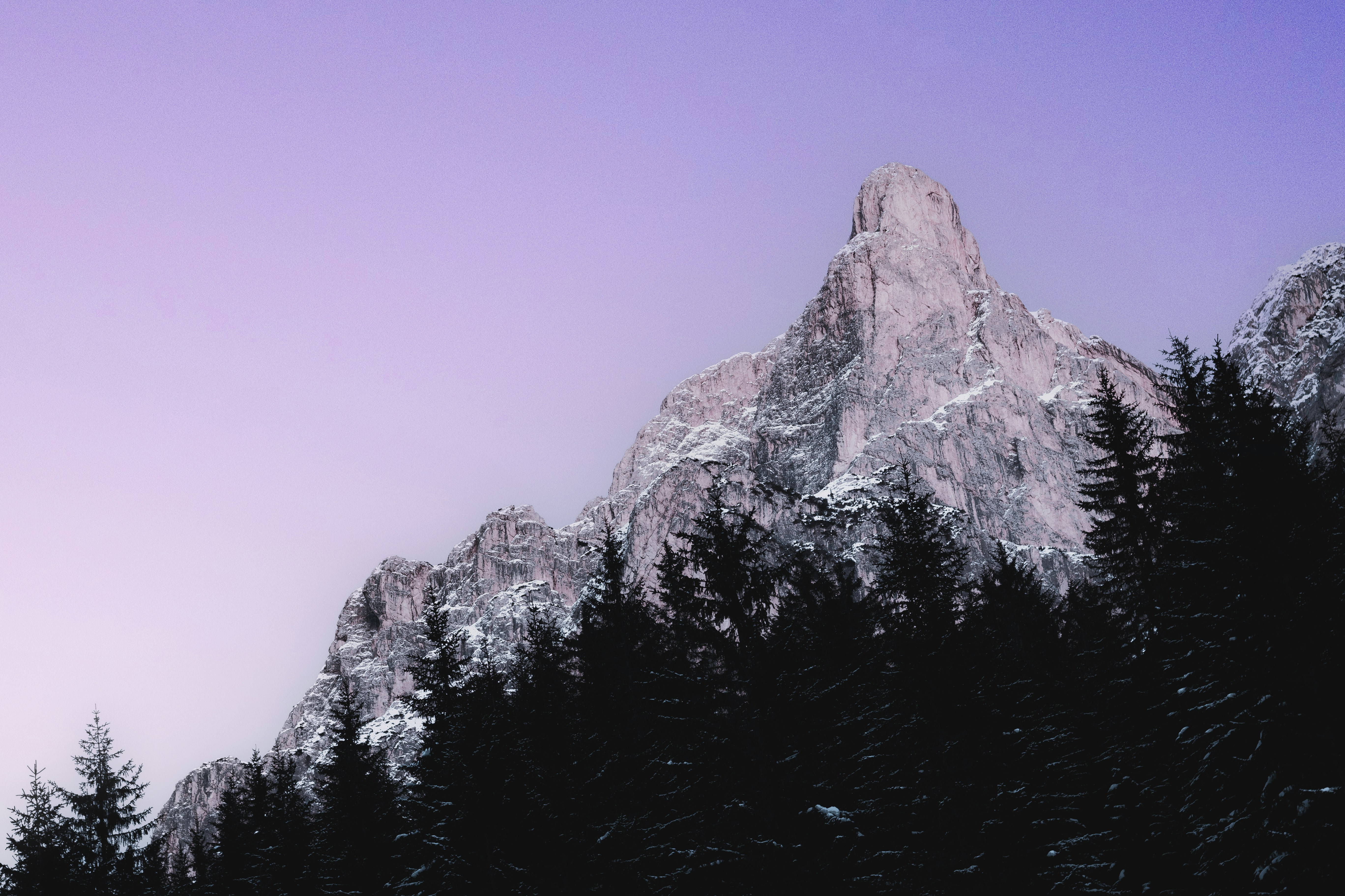 A snow covered mountain with trees in the foreground
