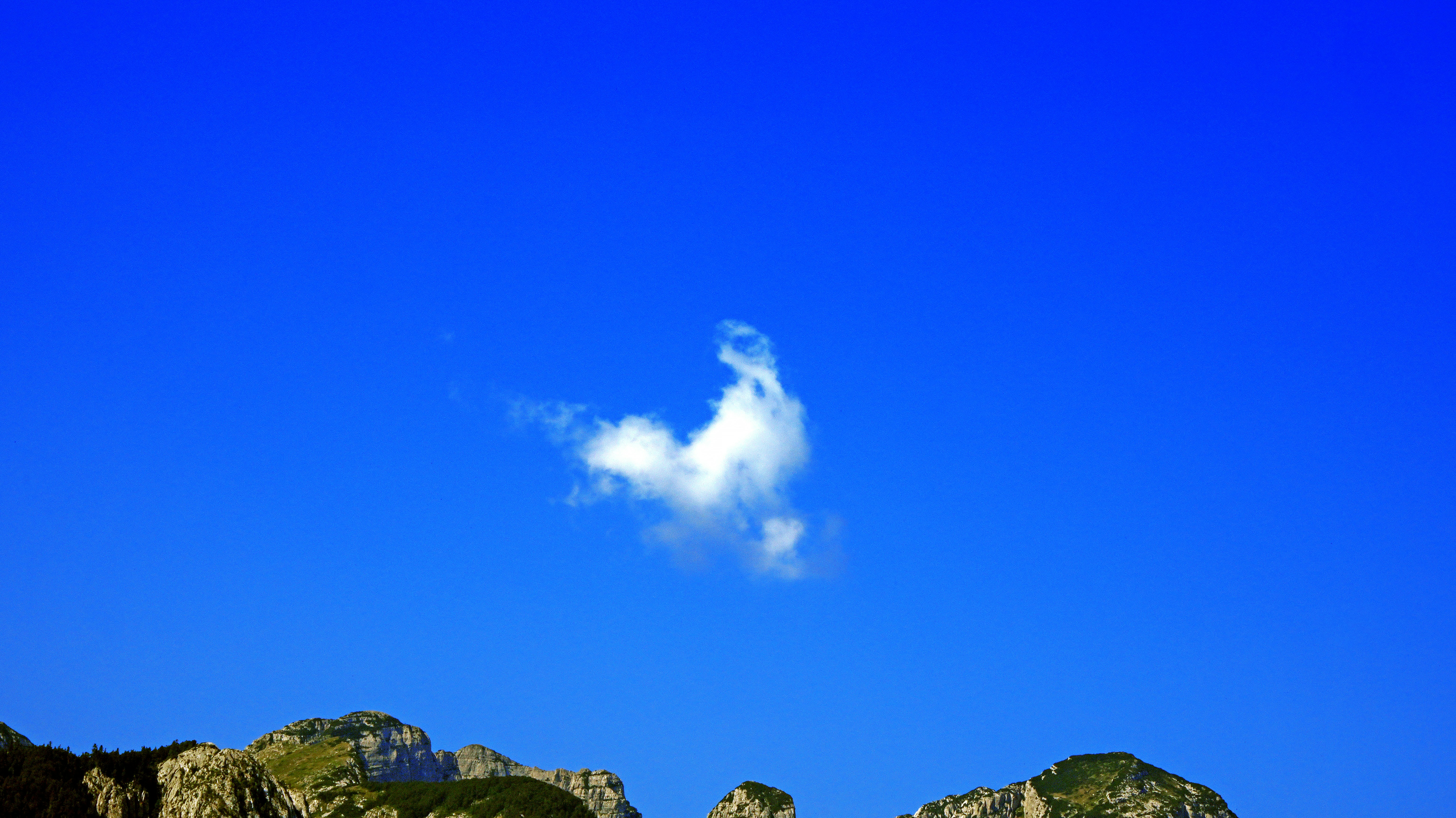 Photo by borisview
