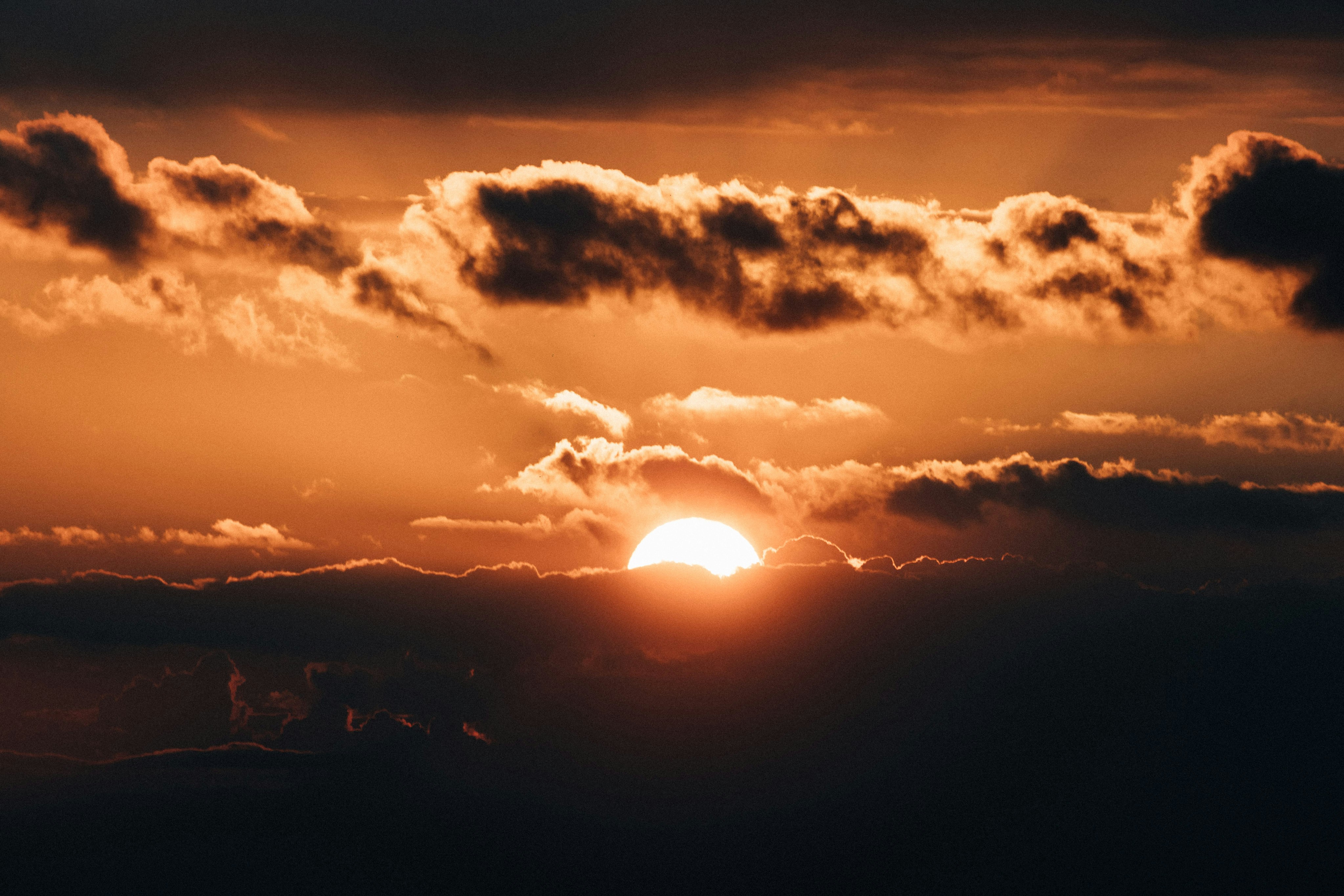 Photo by tsuyoshikozu