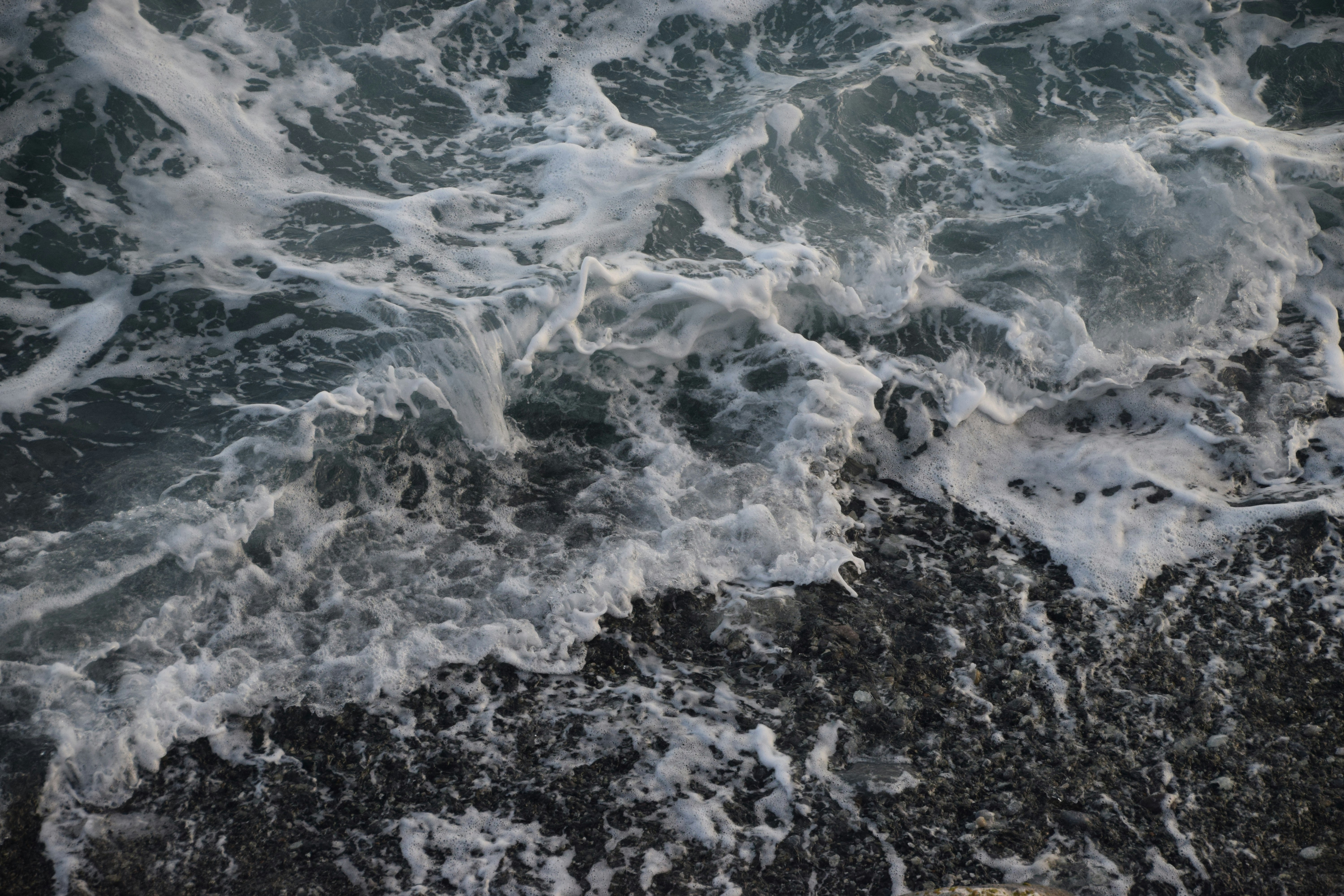 A bird flying over a body of water