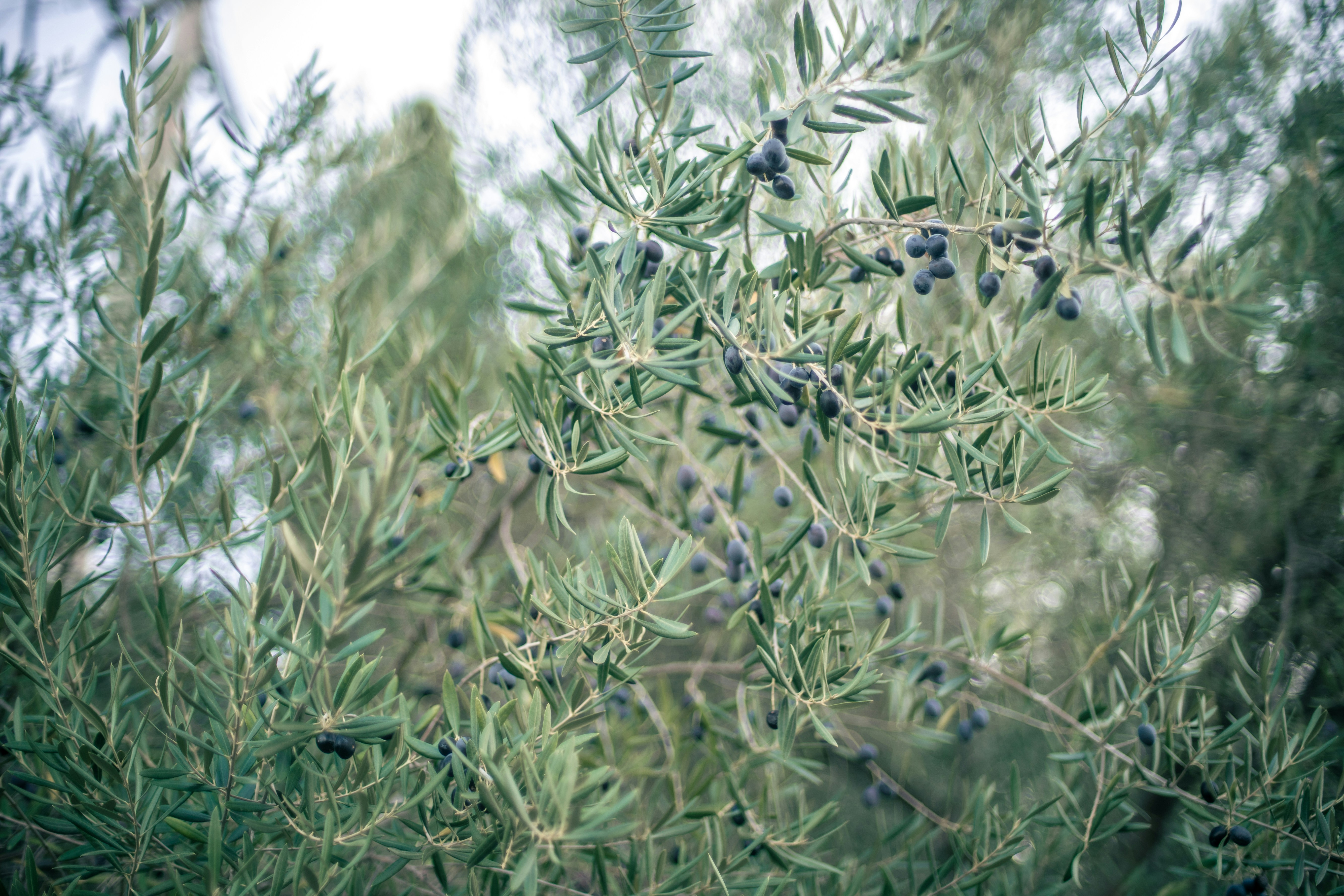 Photo by madeline_sd