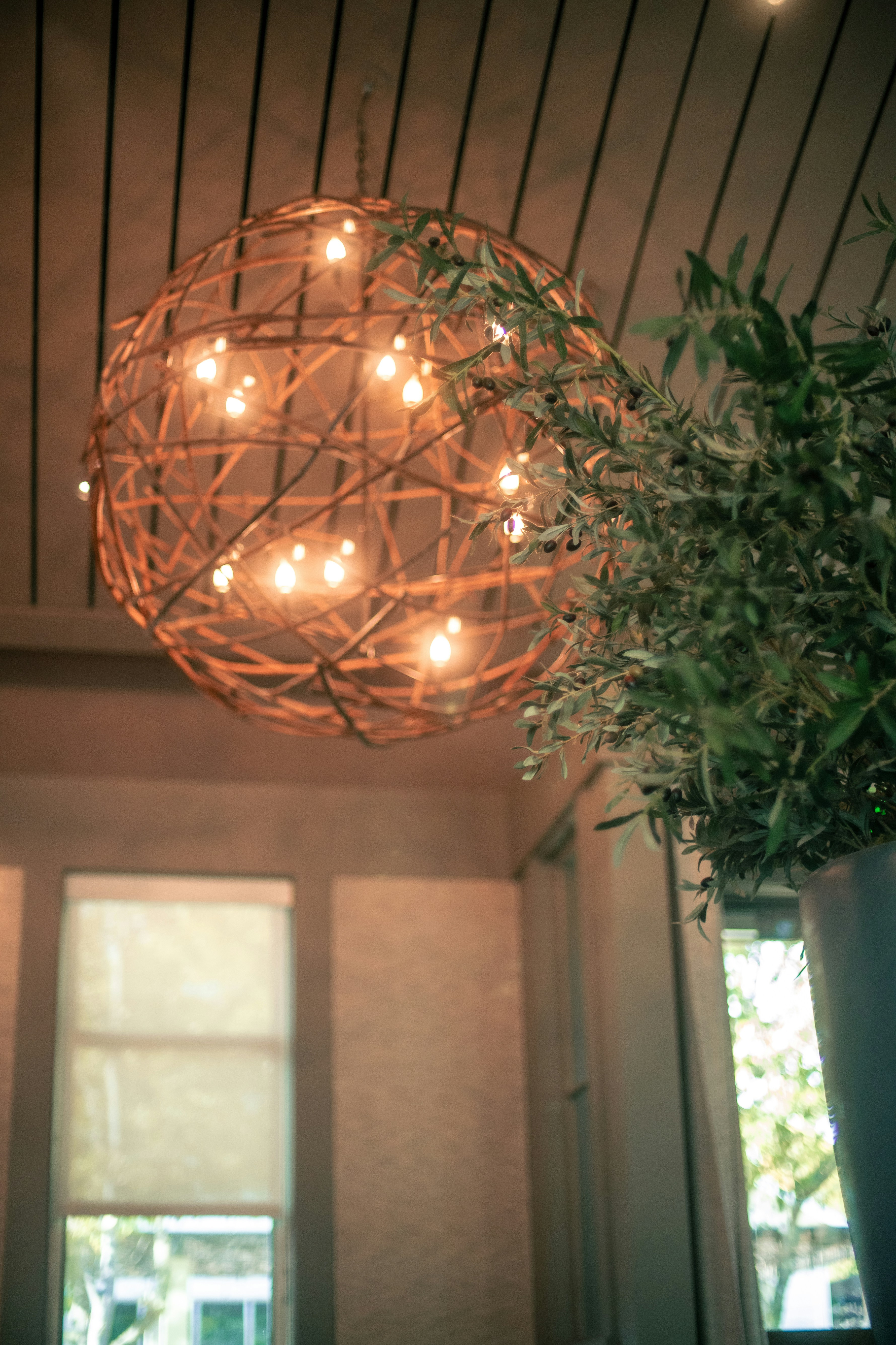 Photo by madeline_sd