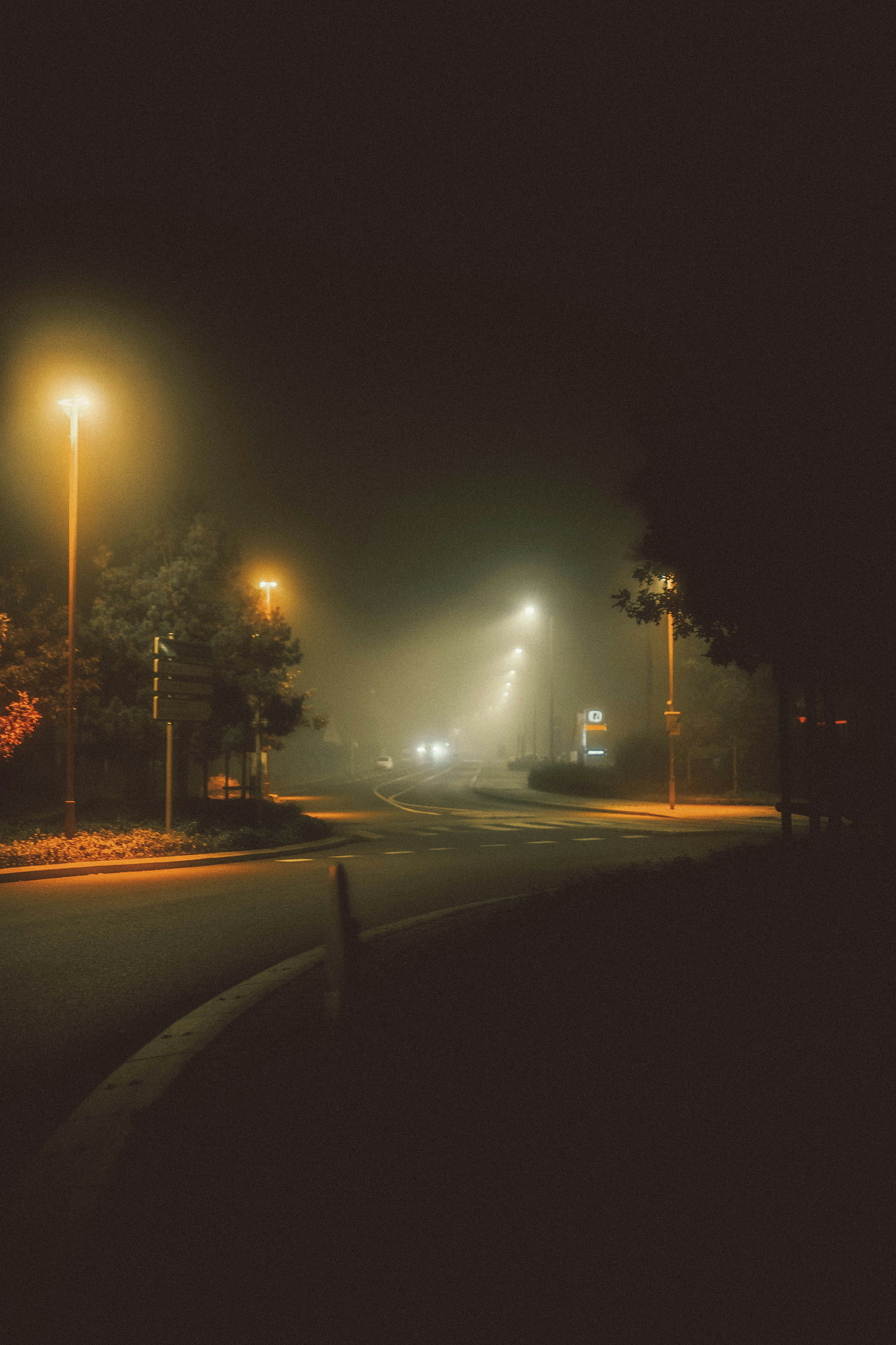 Photo by elmartinbaron