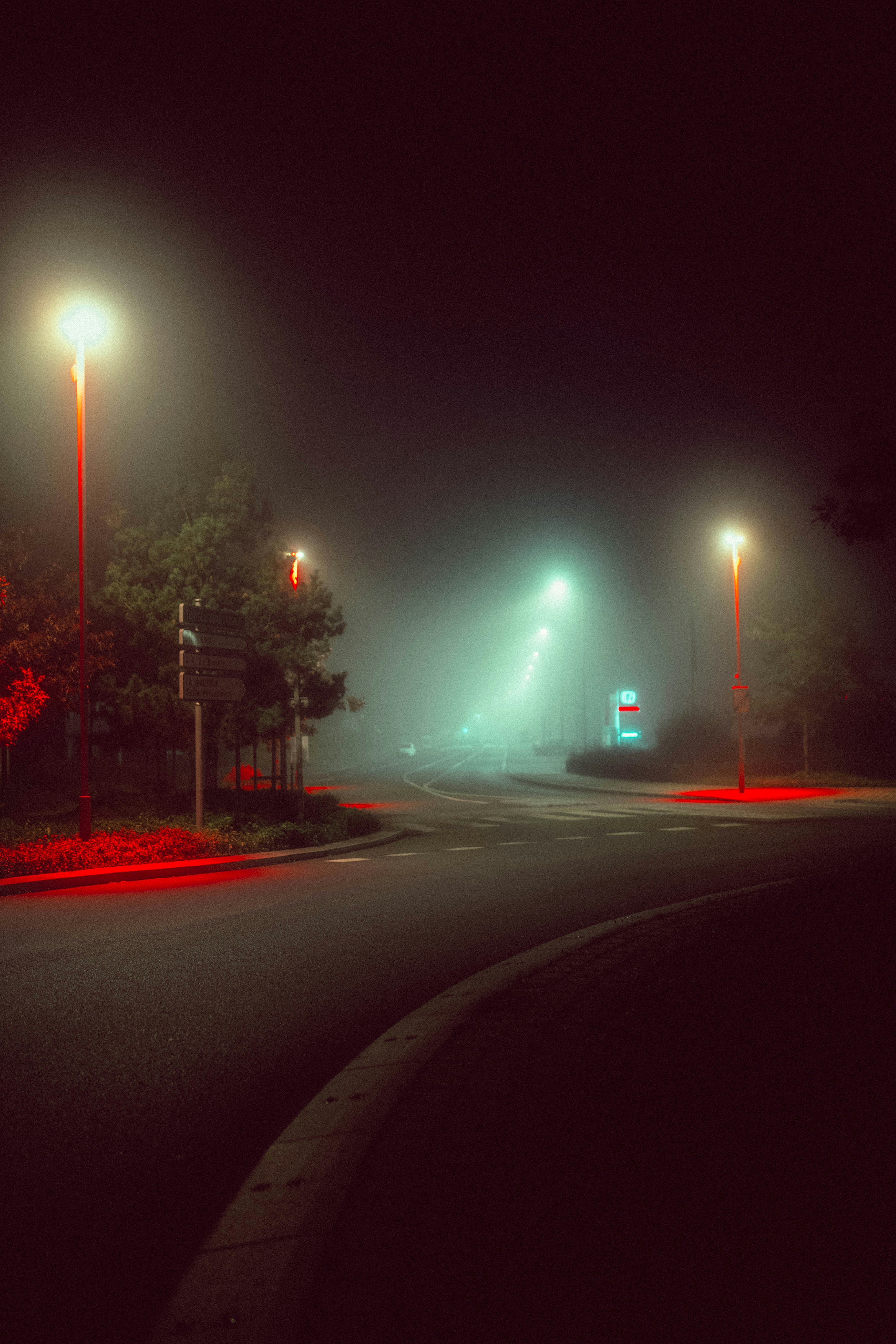 Photo by elmartinbaron