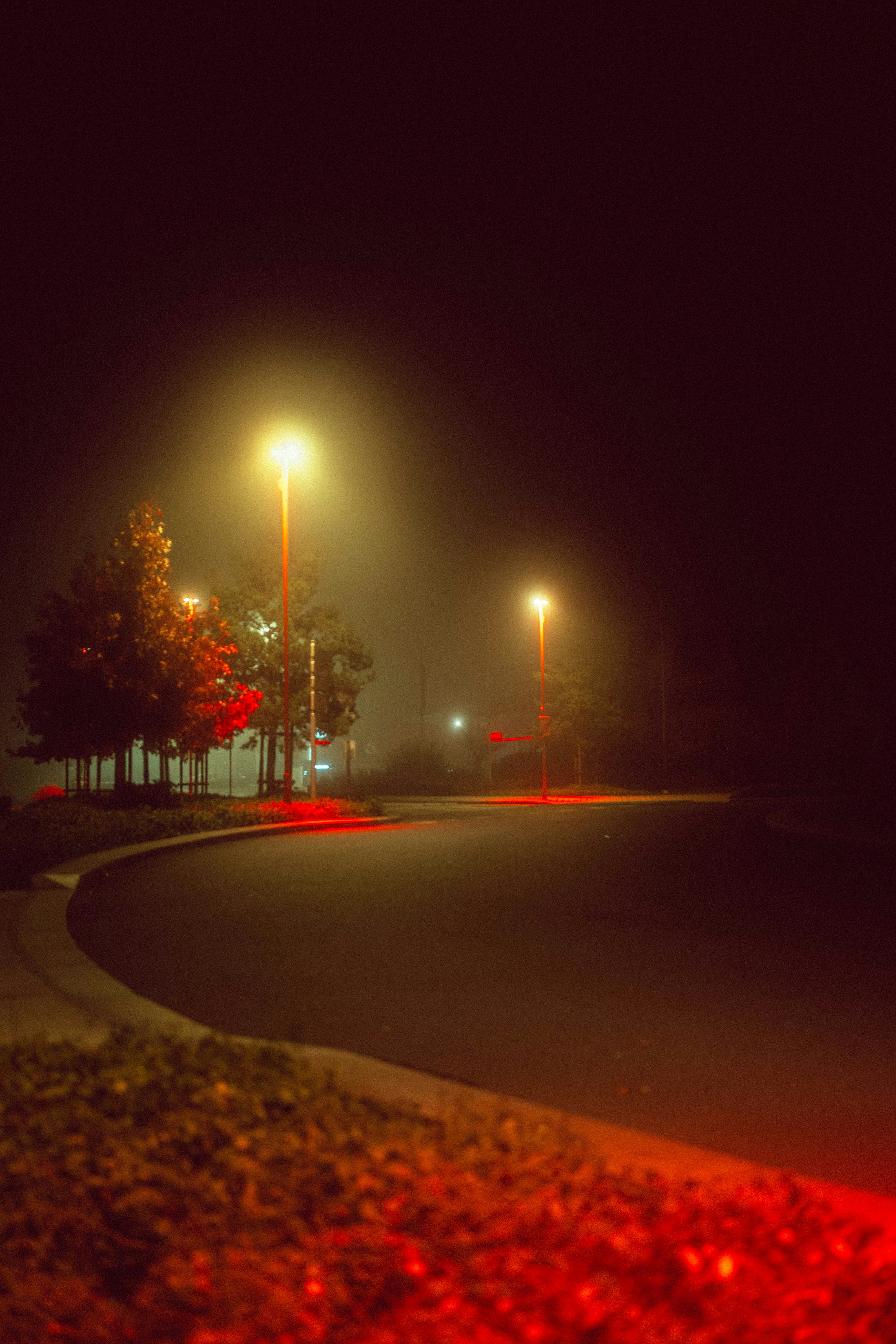 Photo by elmartinbaron