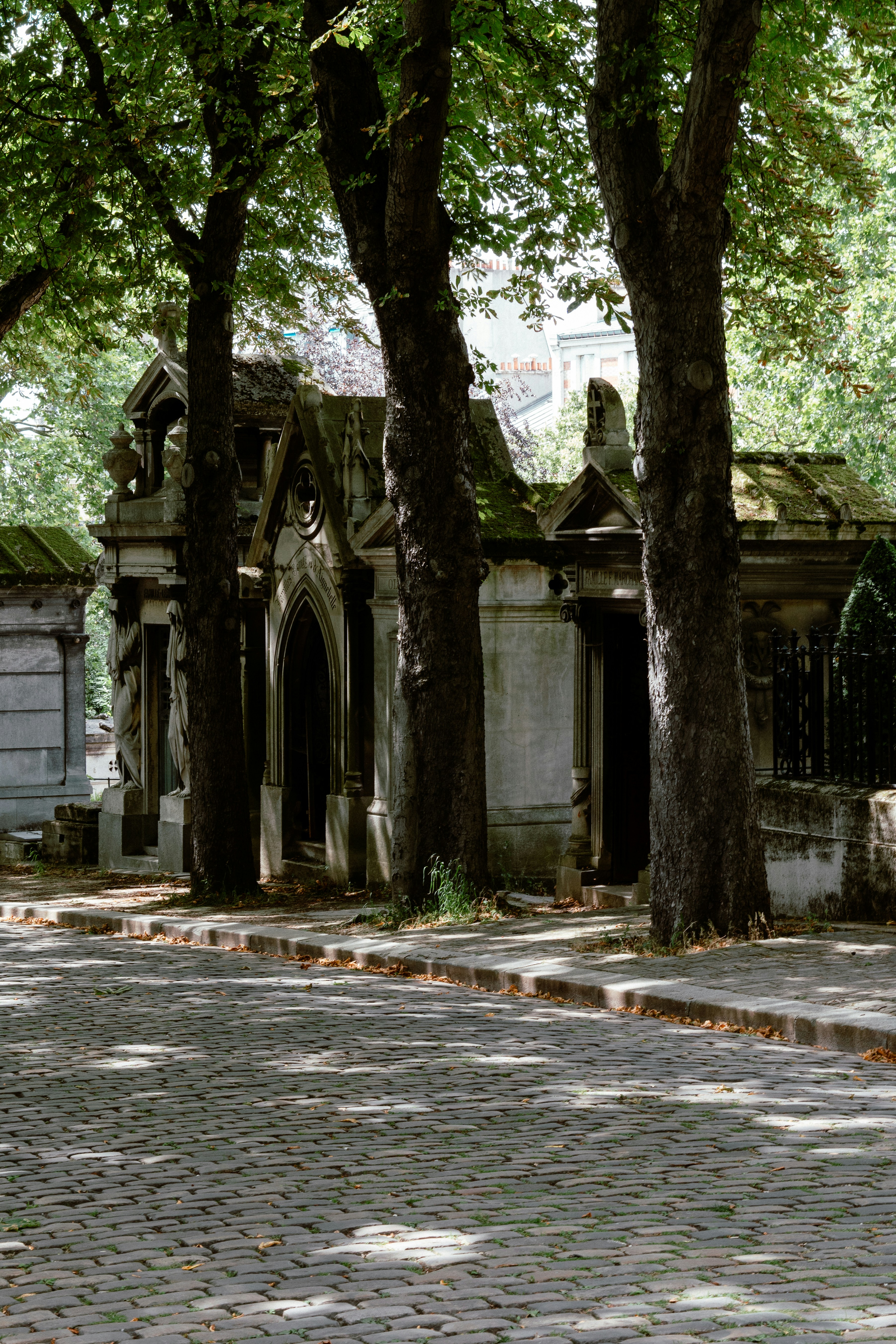 Photo by eliott_goutard