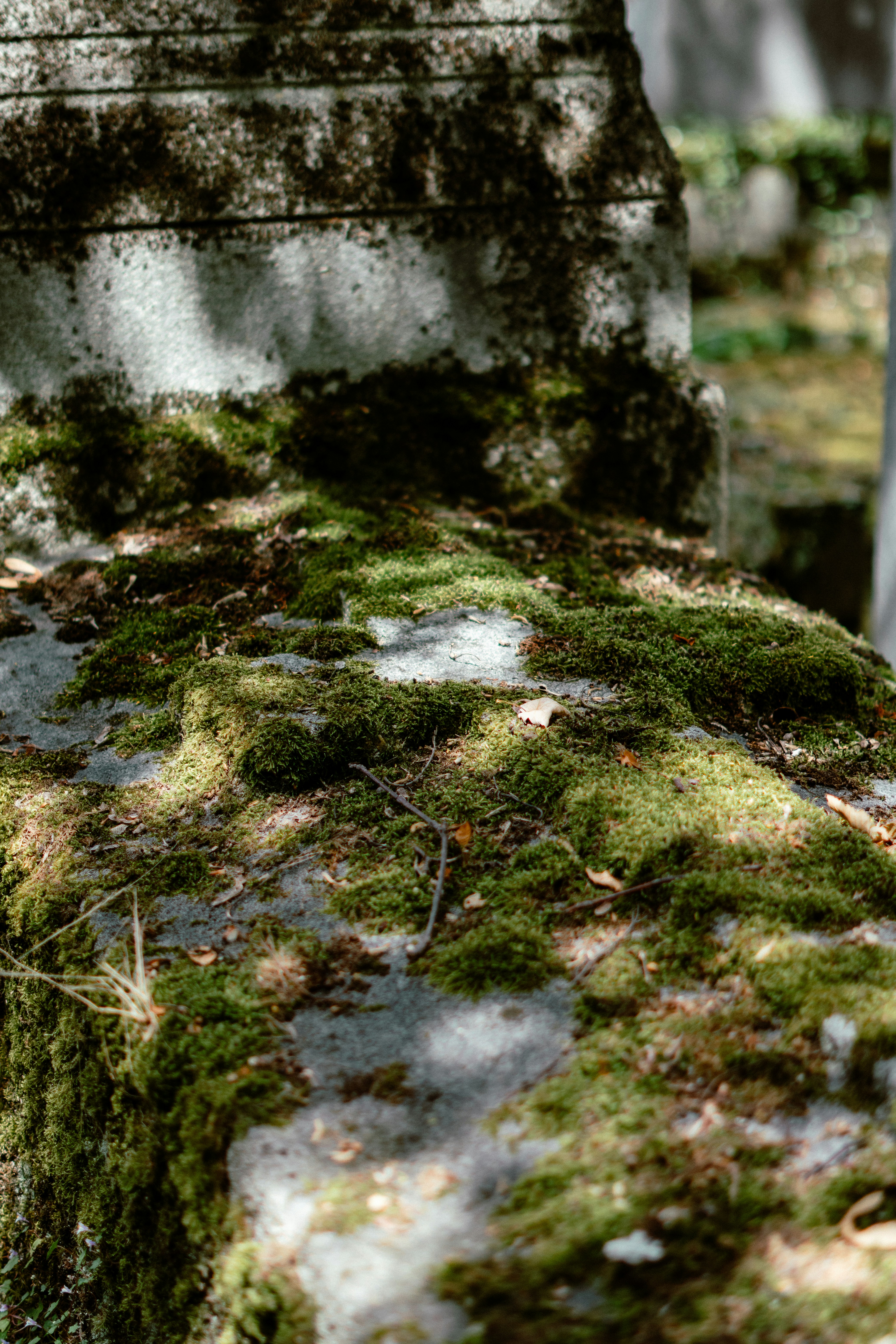 Photo by eliott_goutard