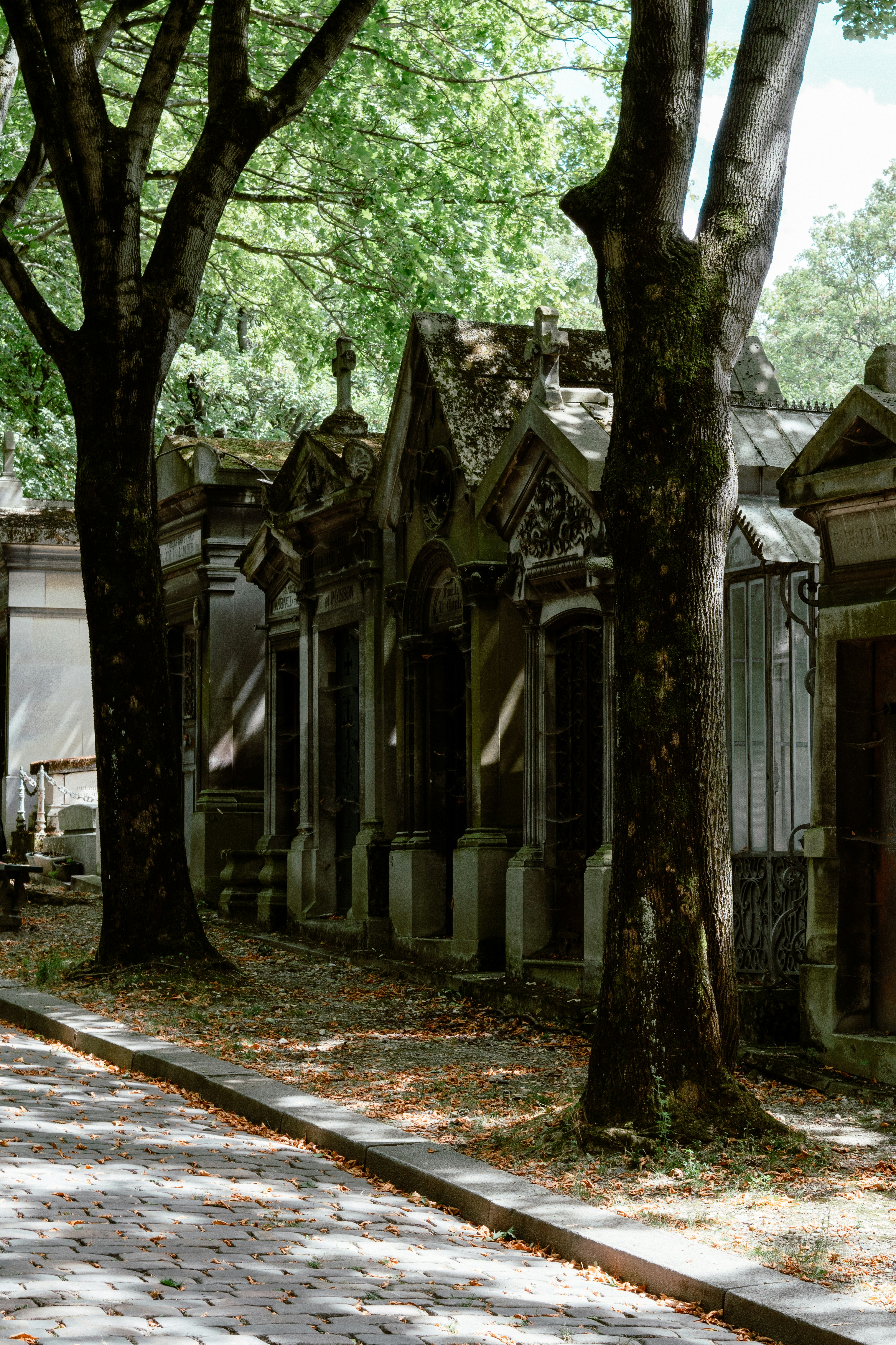 Photo by eliott_goutard