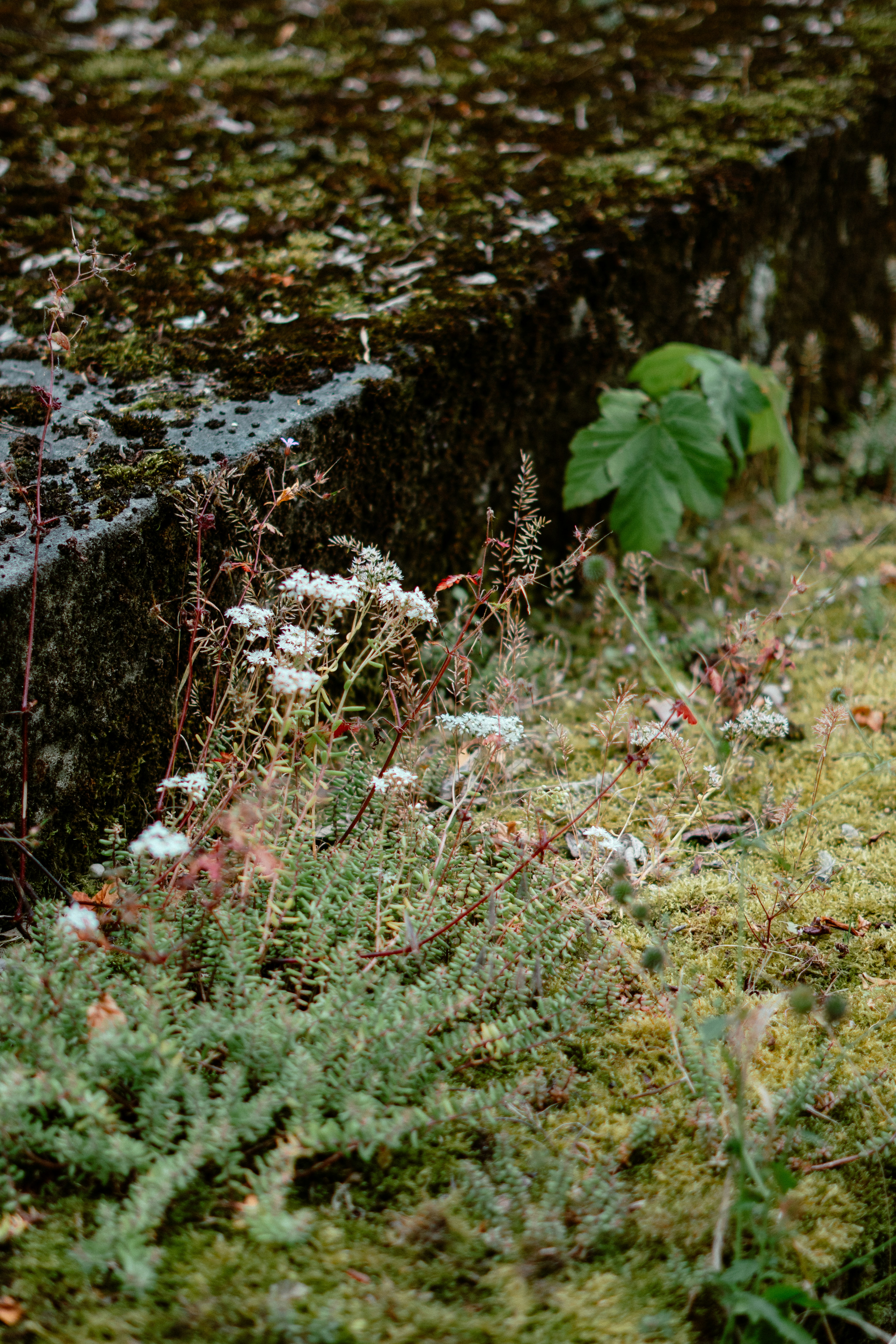 Photo by eliott_goutard