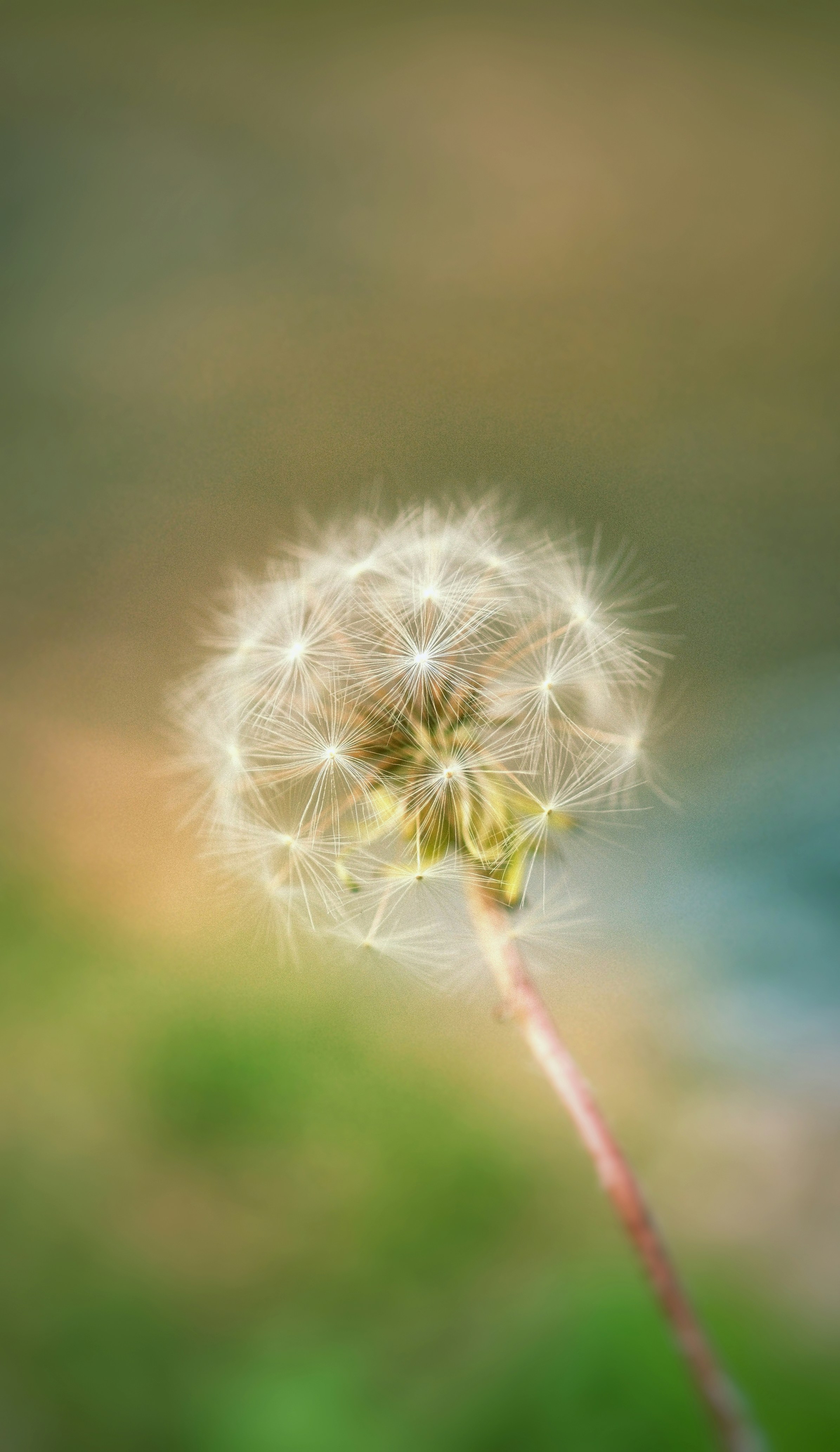 Photo by h281994