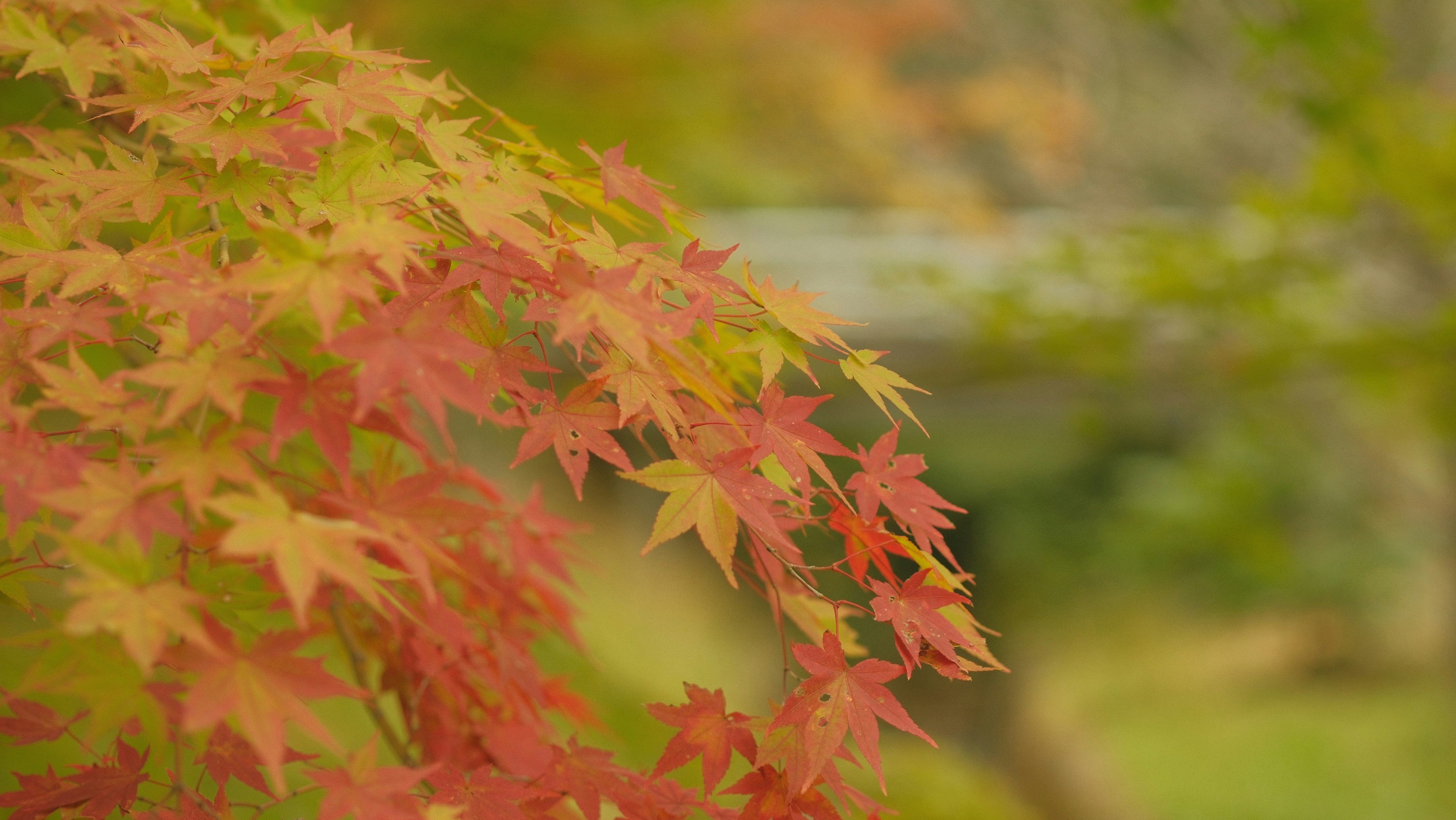Photo by h281994