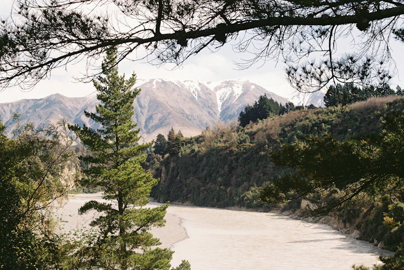 Best Season to Visit Christchurch: When to Go, When to Skip, and Why It Matters