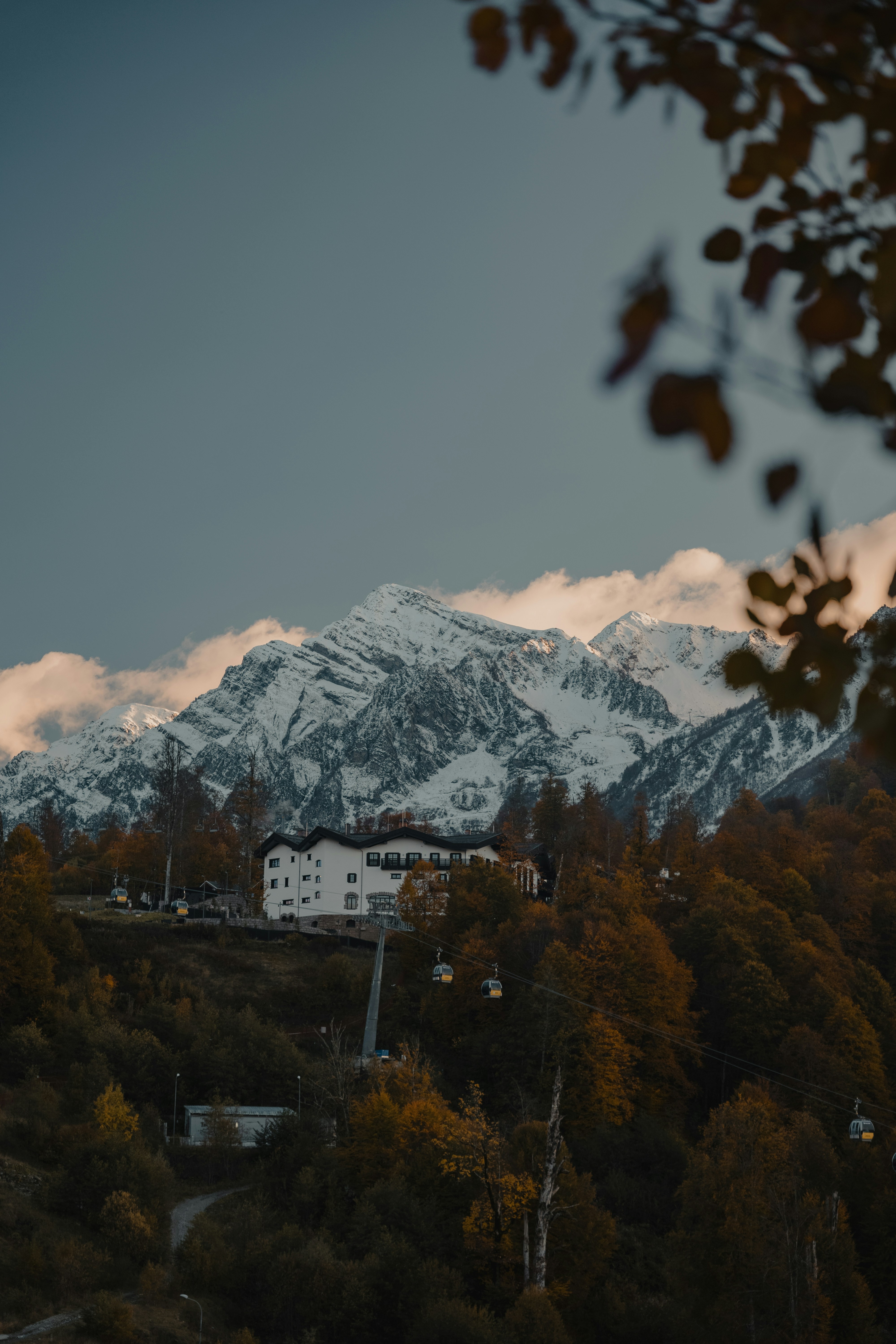 Photo by dobrynin_nikita