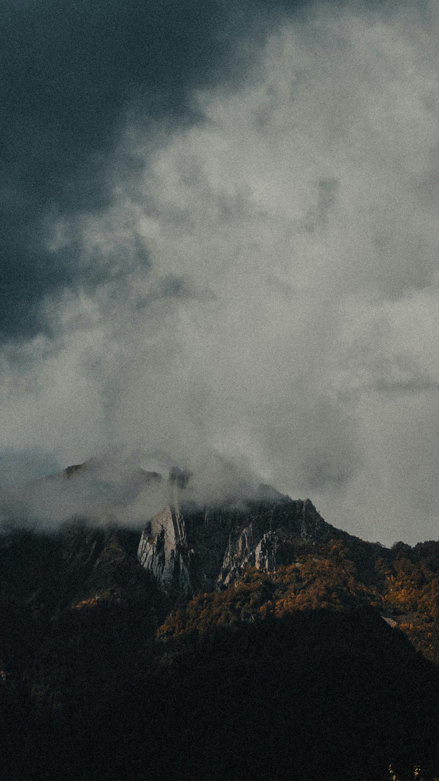 Photo by dobrynin_nikita