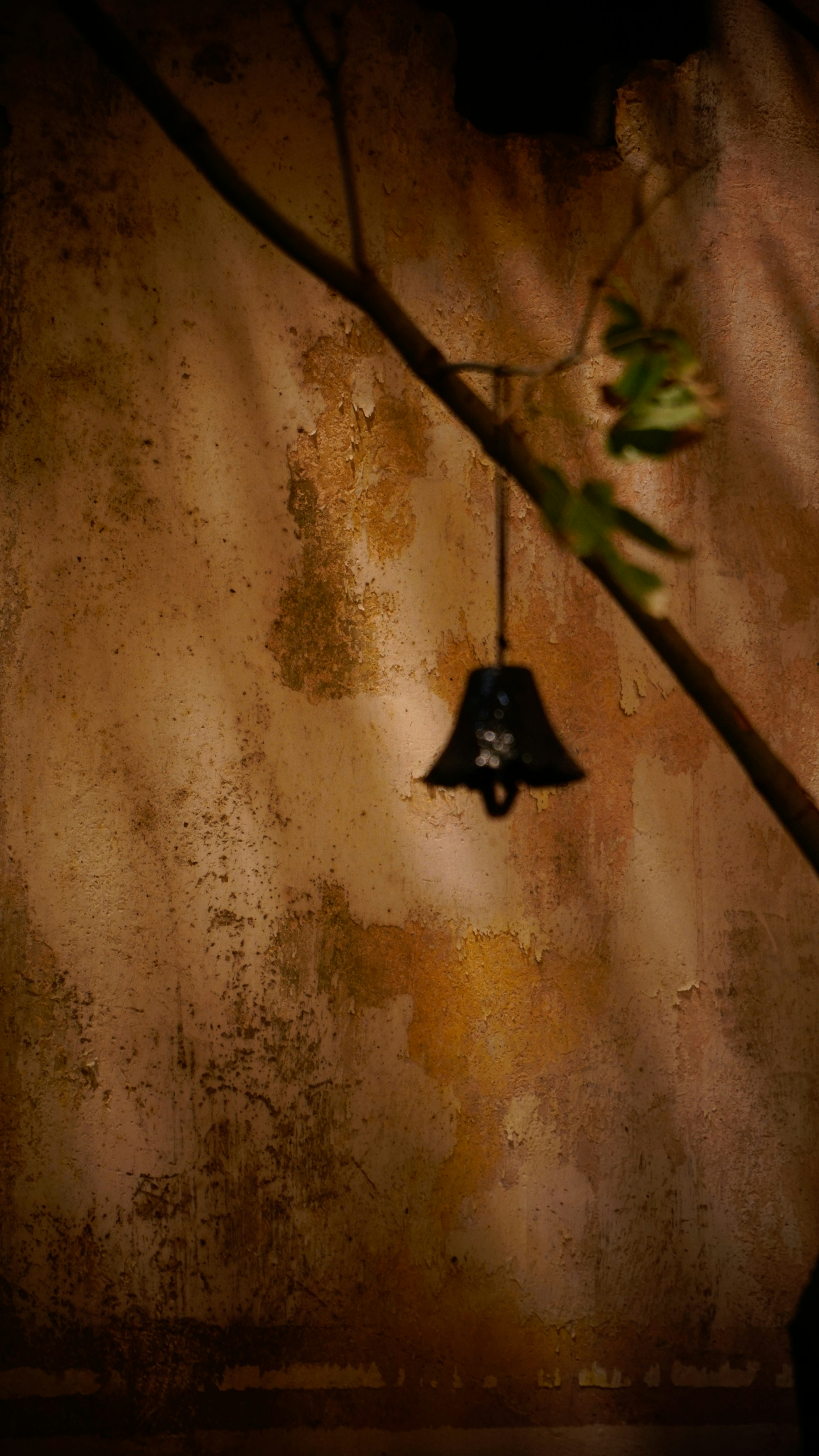A bell hanging from a tree branch in front of a wall