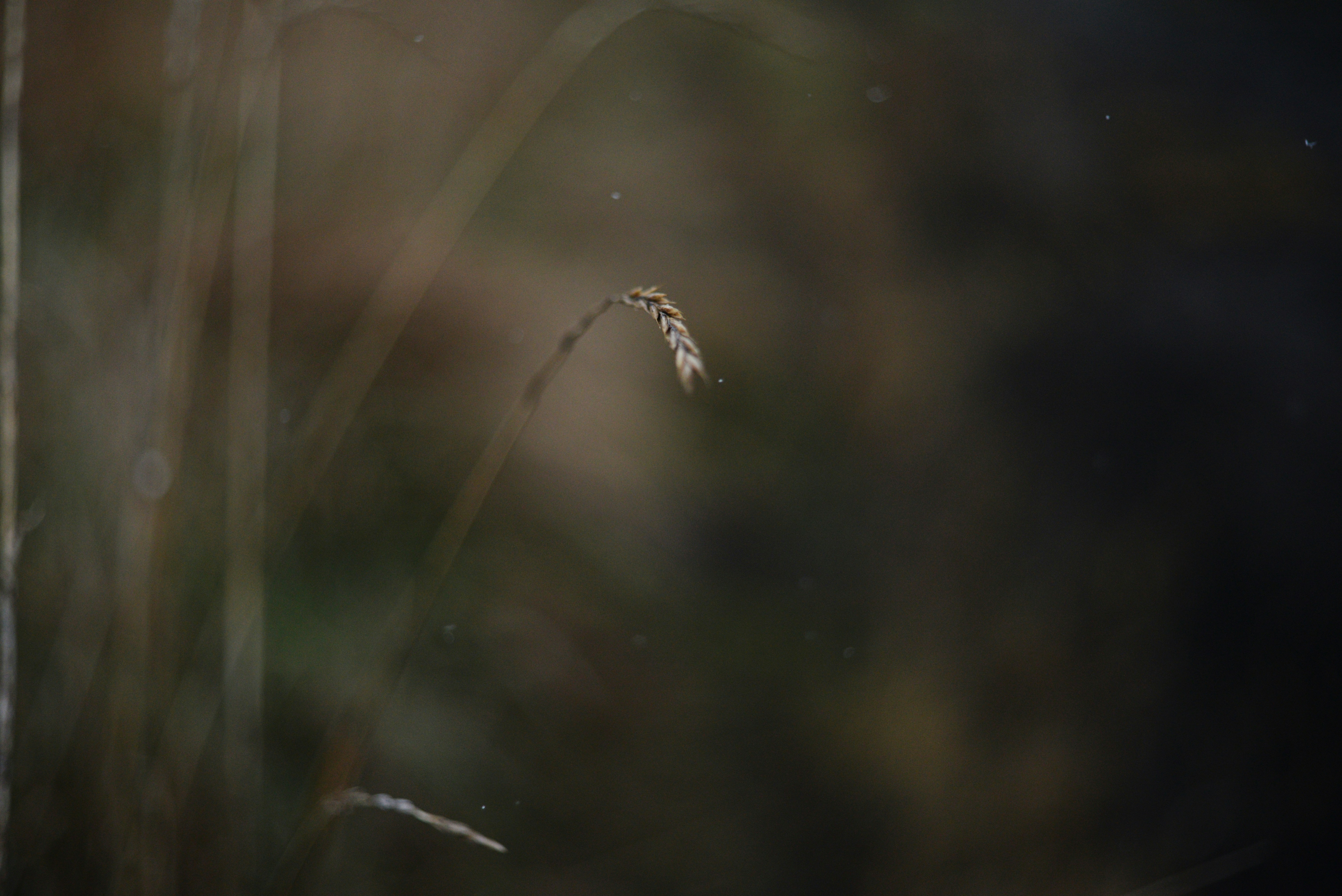 Photo by cherstve_pechivo