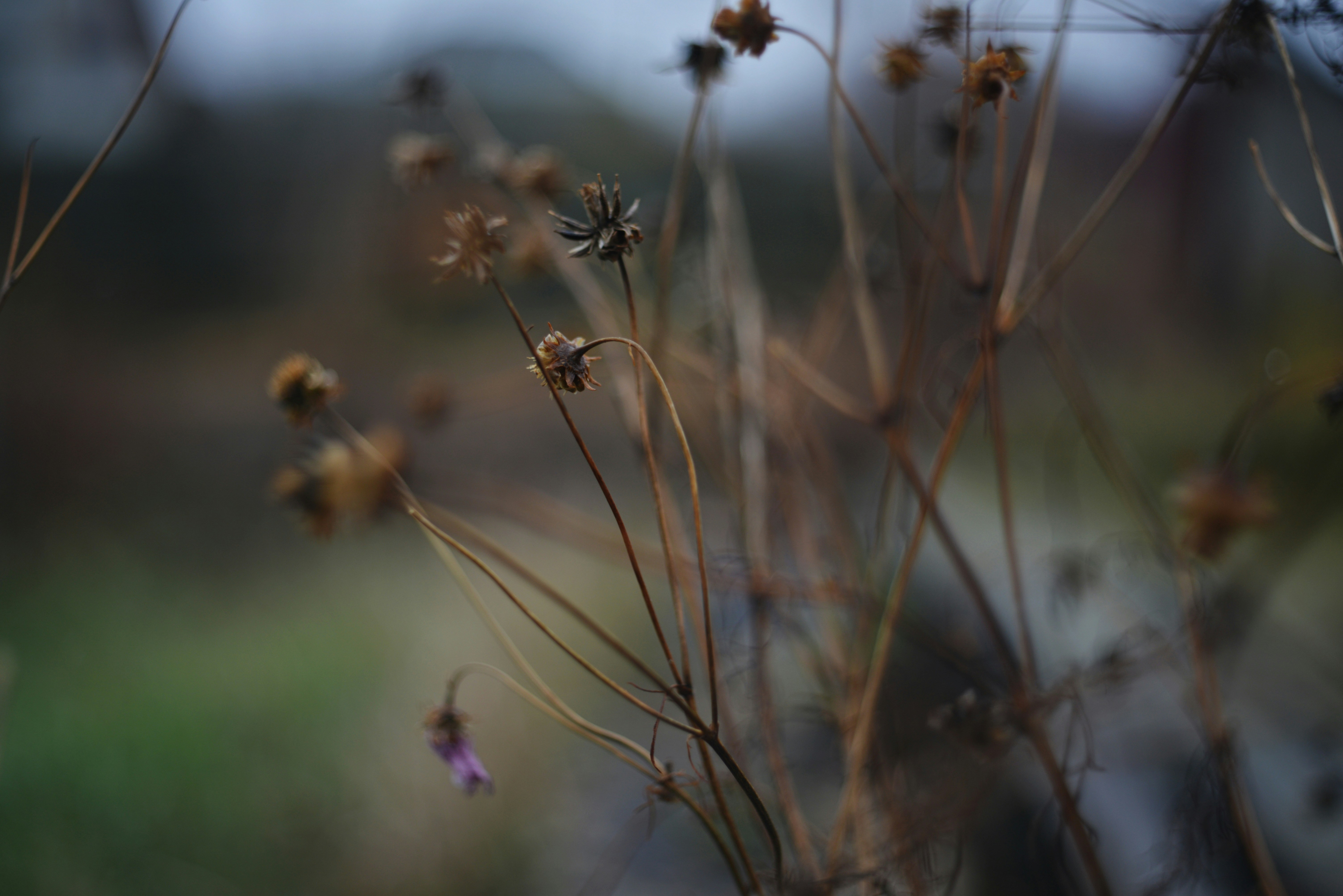 Photo by cherstve_pechivo