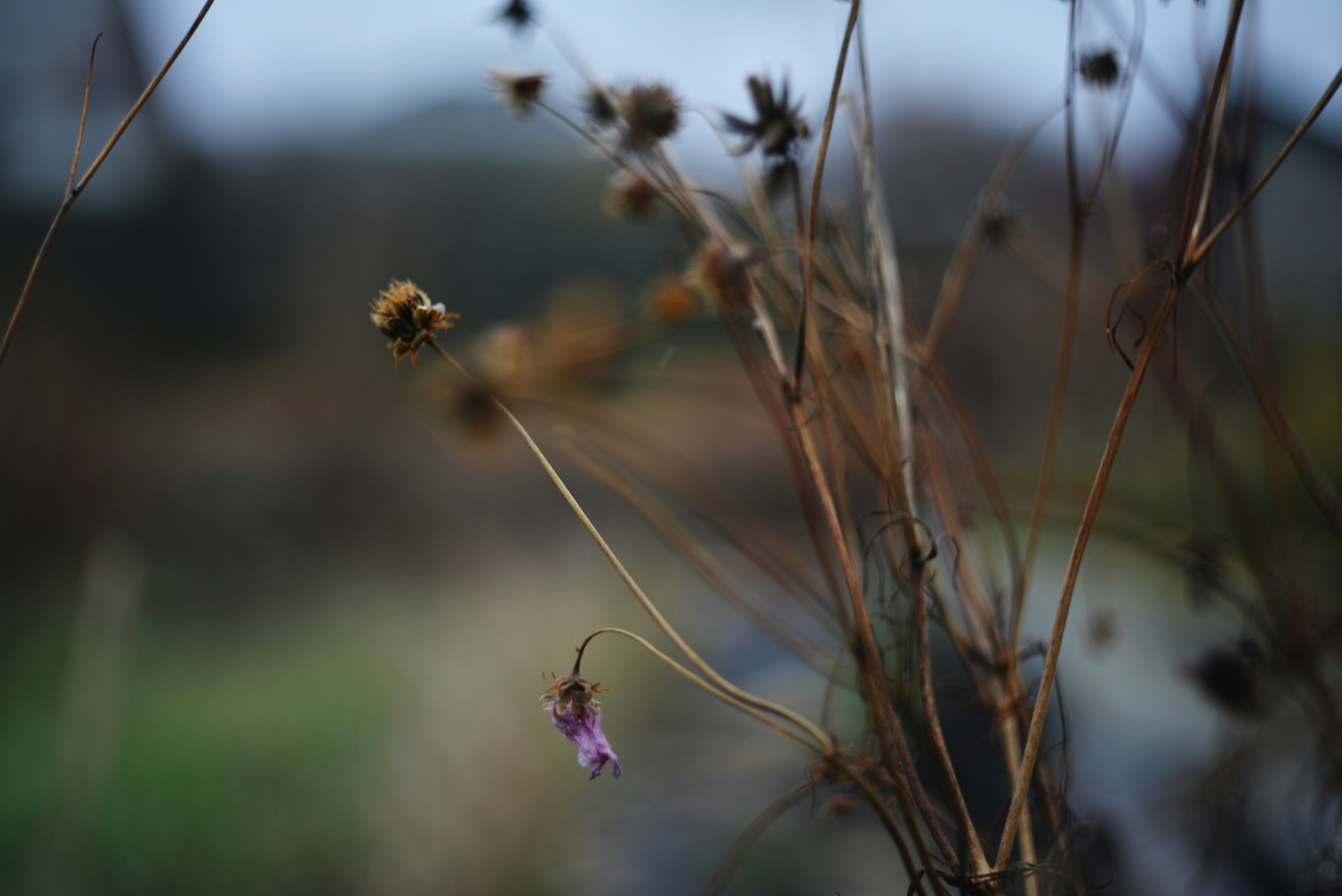 Photo by cherstve_pechivo