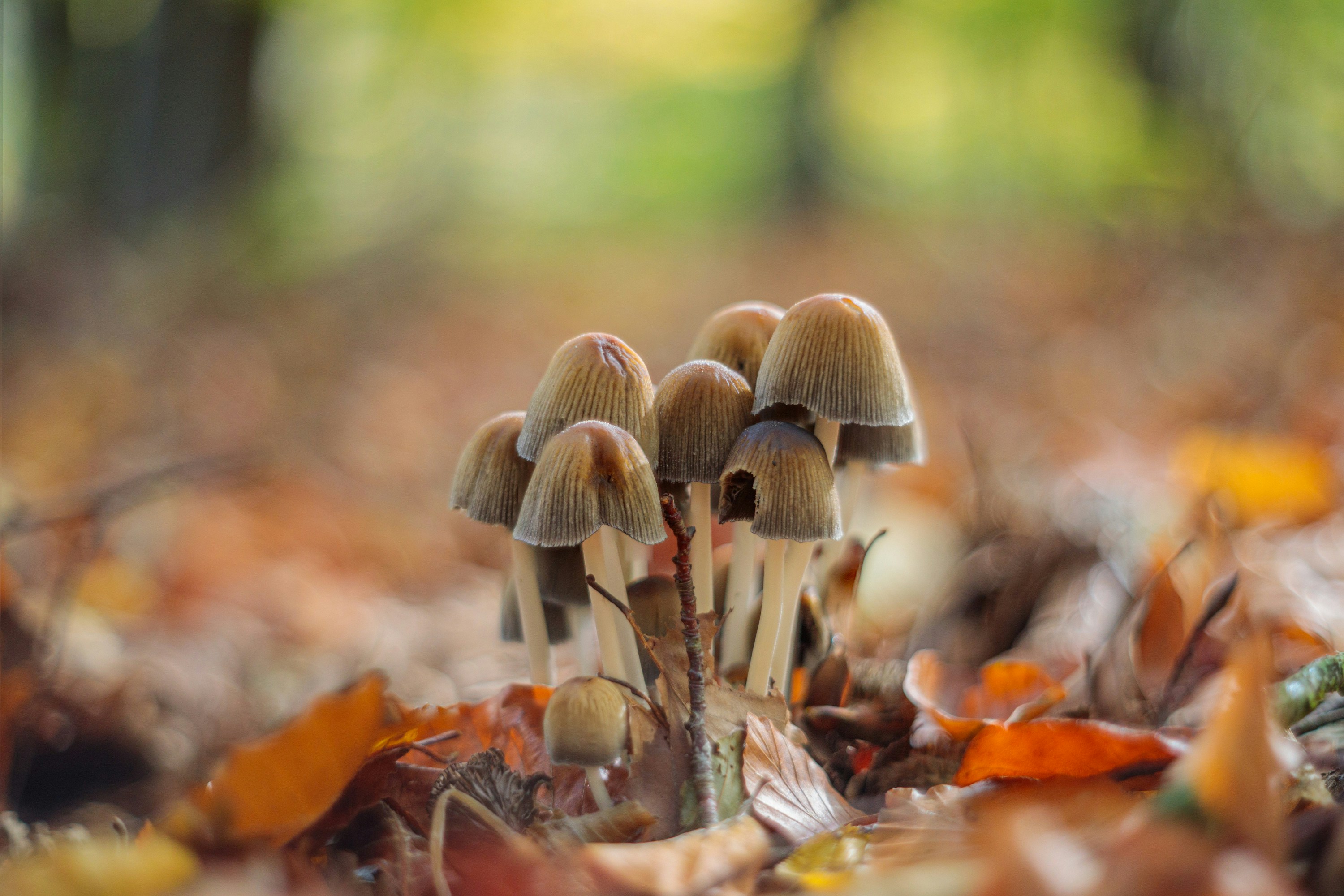 Photo by dreamscape_visions