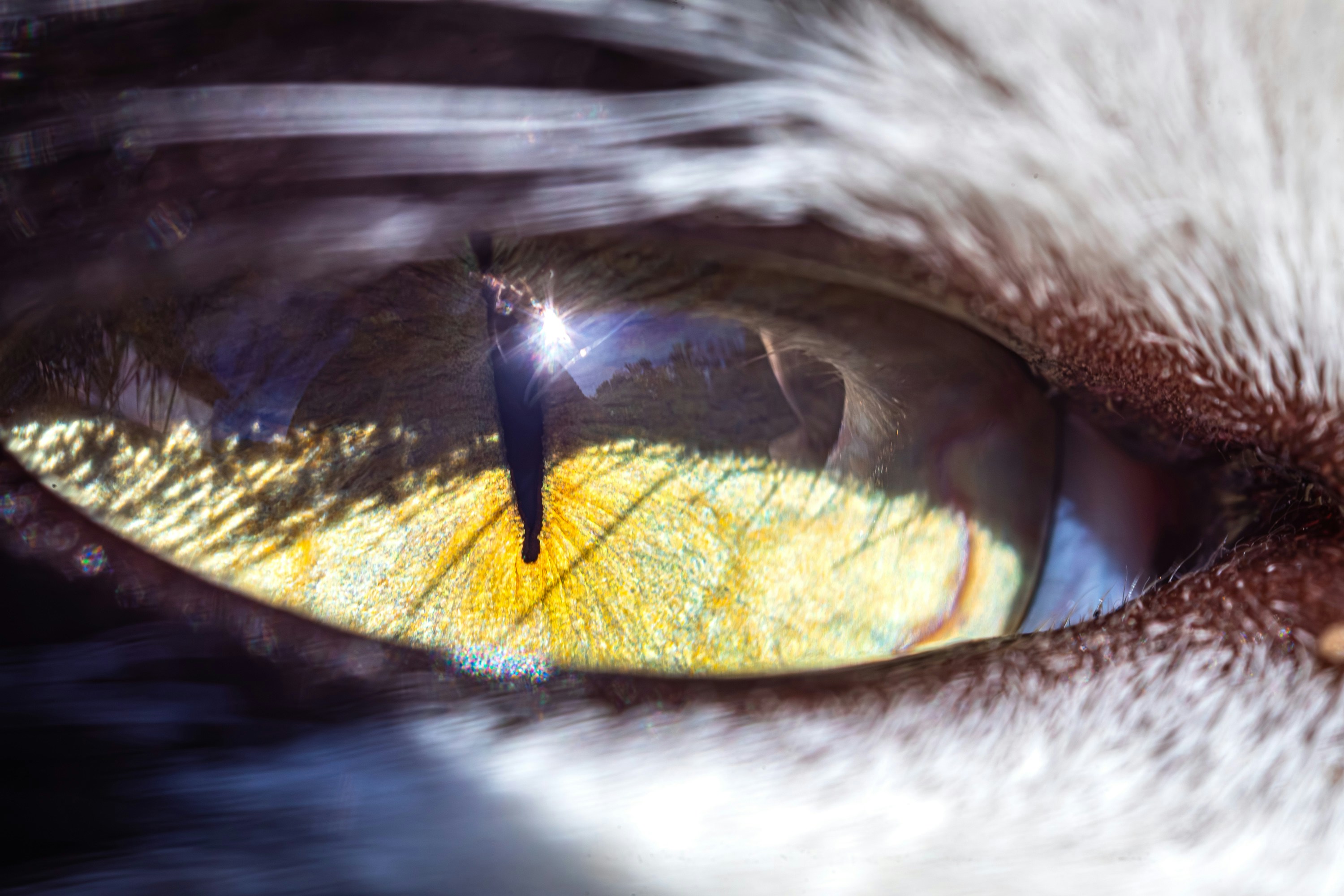 Photo by dreamscape_visions