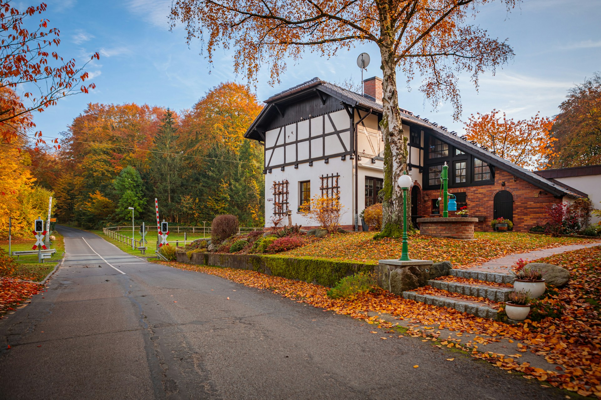 A house on the side of a road surrounded by trees