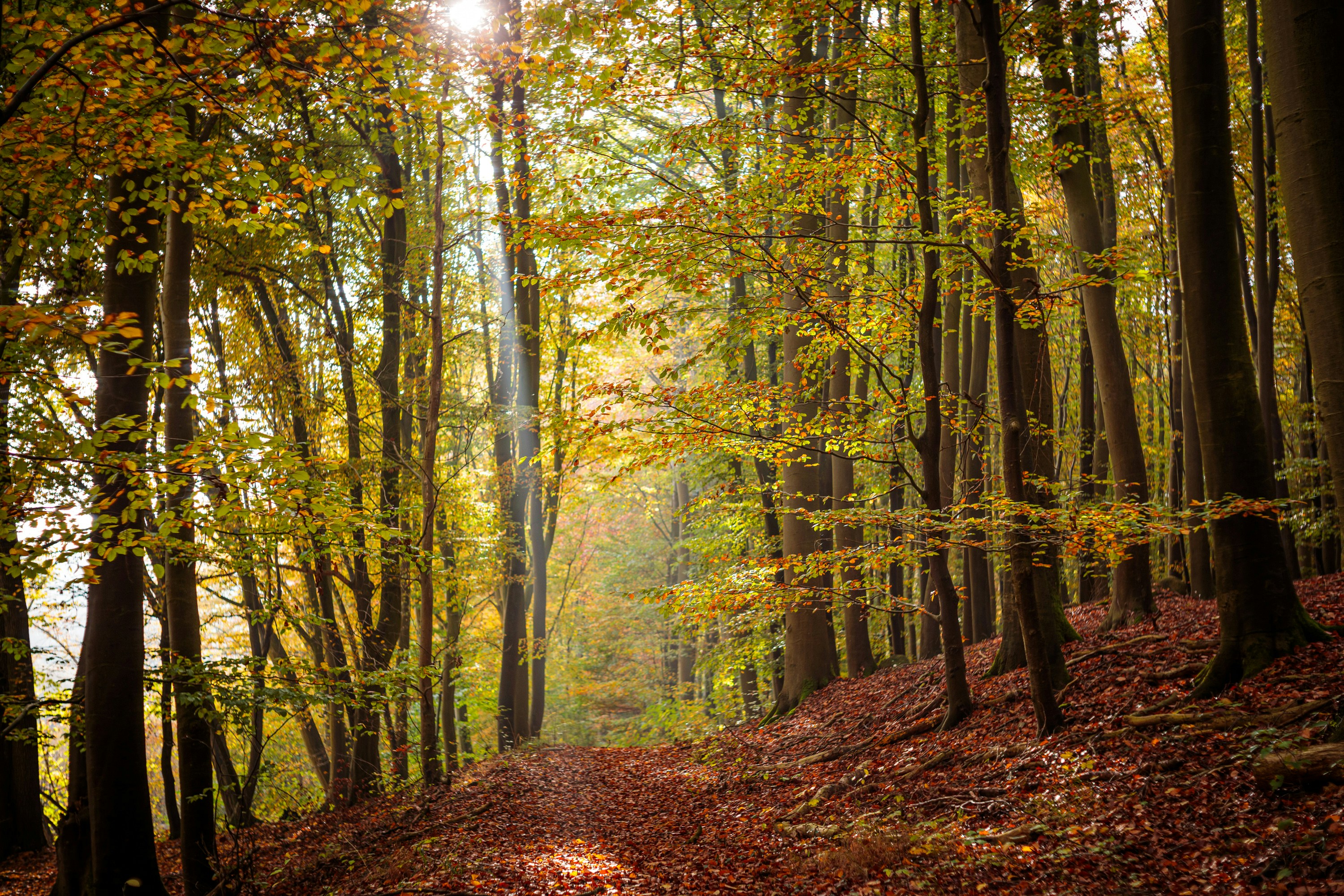 Photo by dreamscape_visions