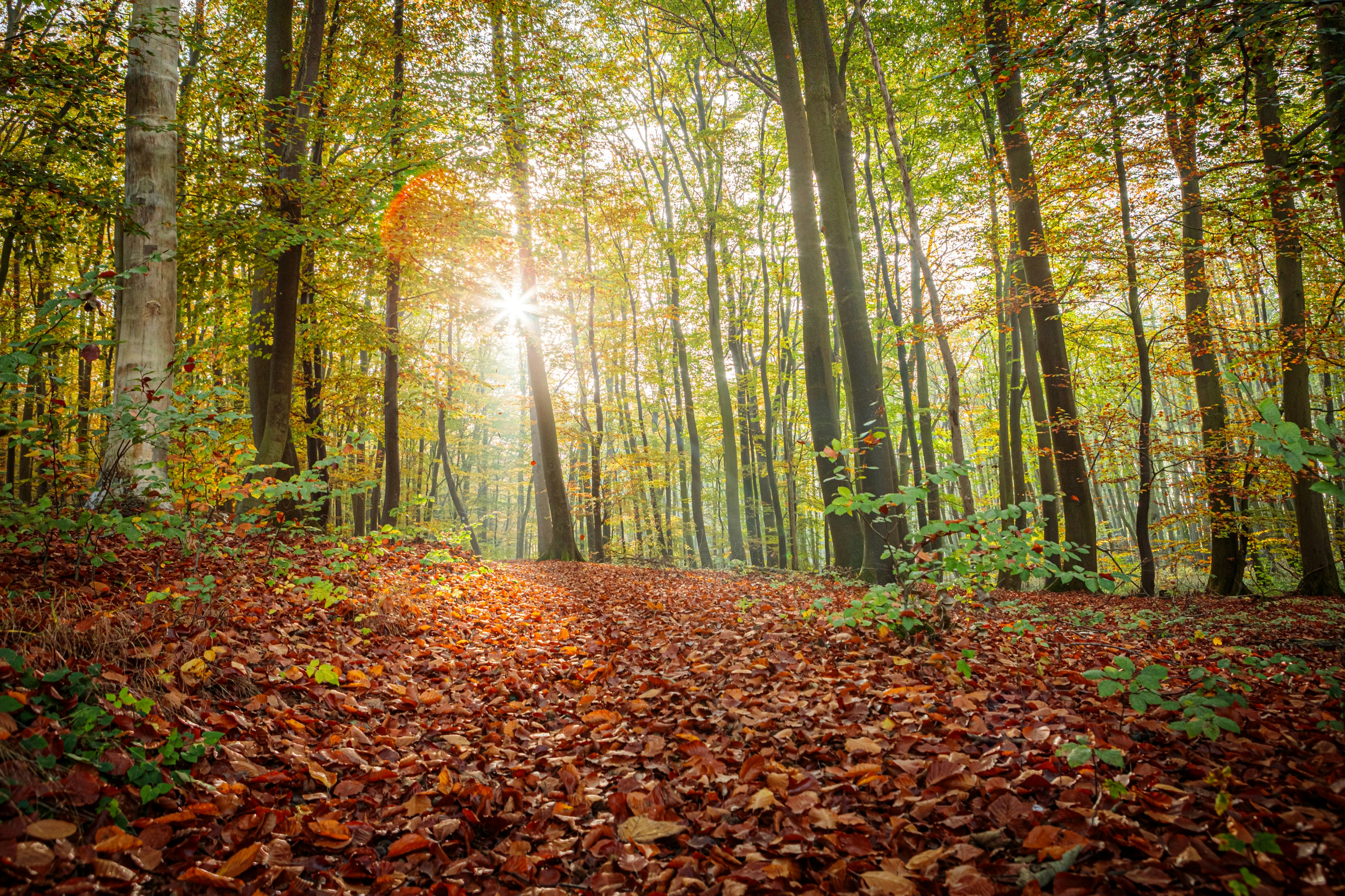 Photo by dreamscape_visions