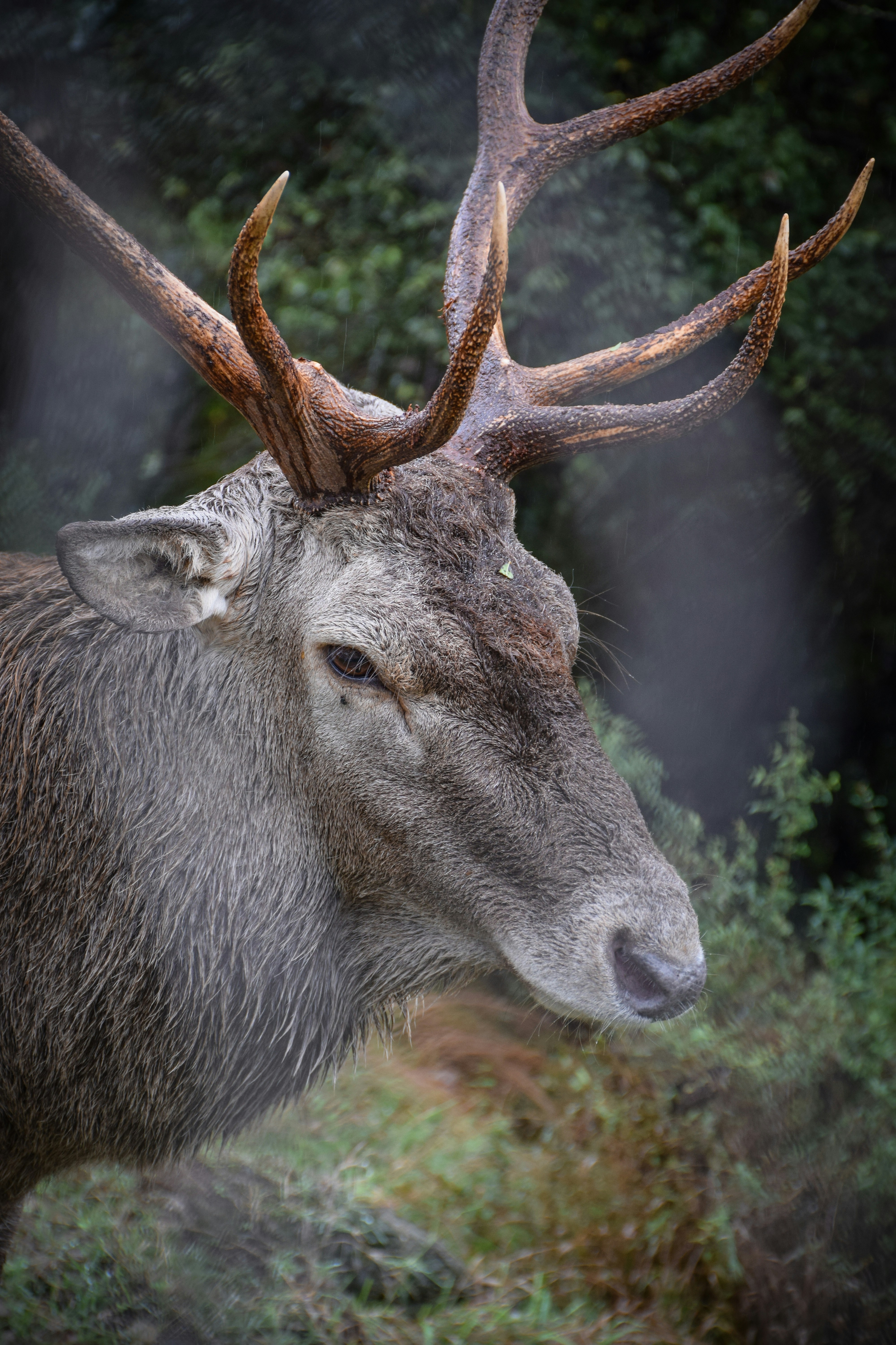 Photo by golestan_photo