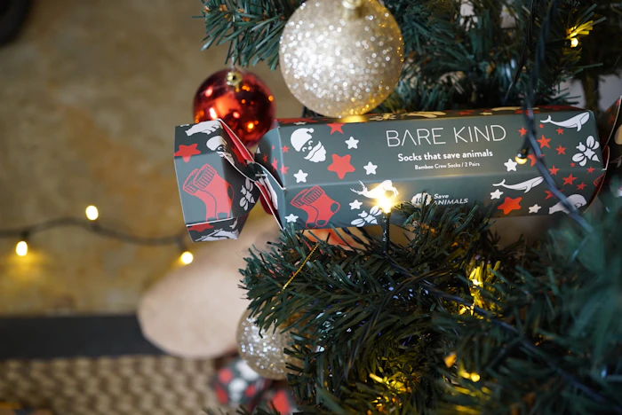 A festive boxed sock gift set tucked beside holiday decorations