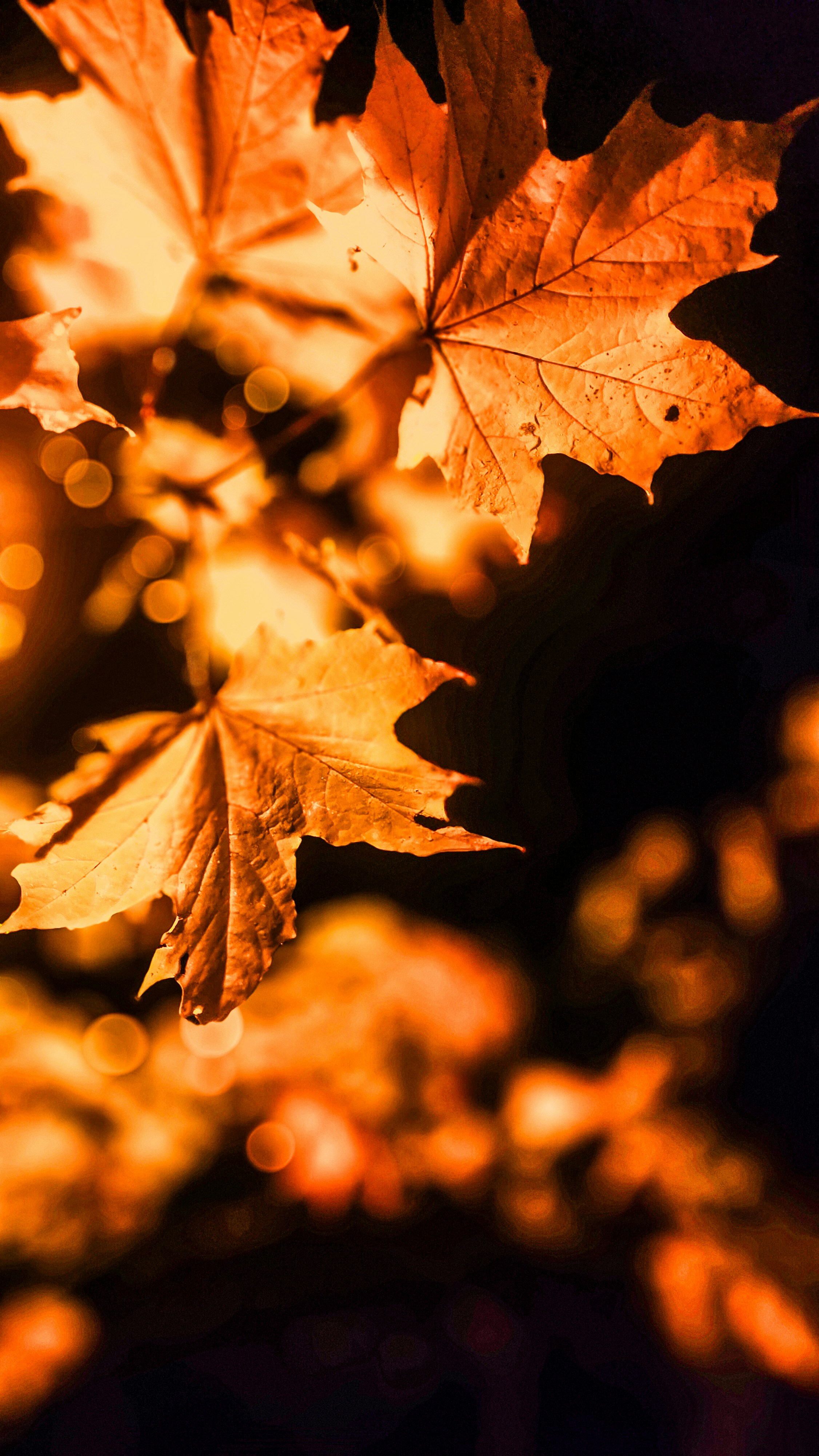 Photo by scrollwhisper