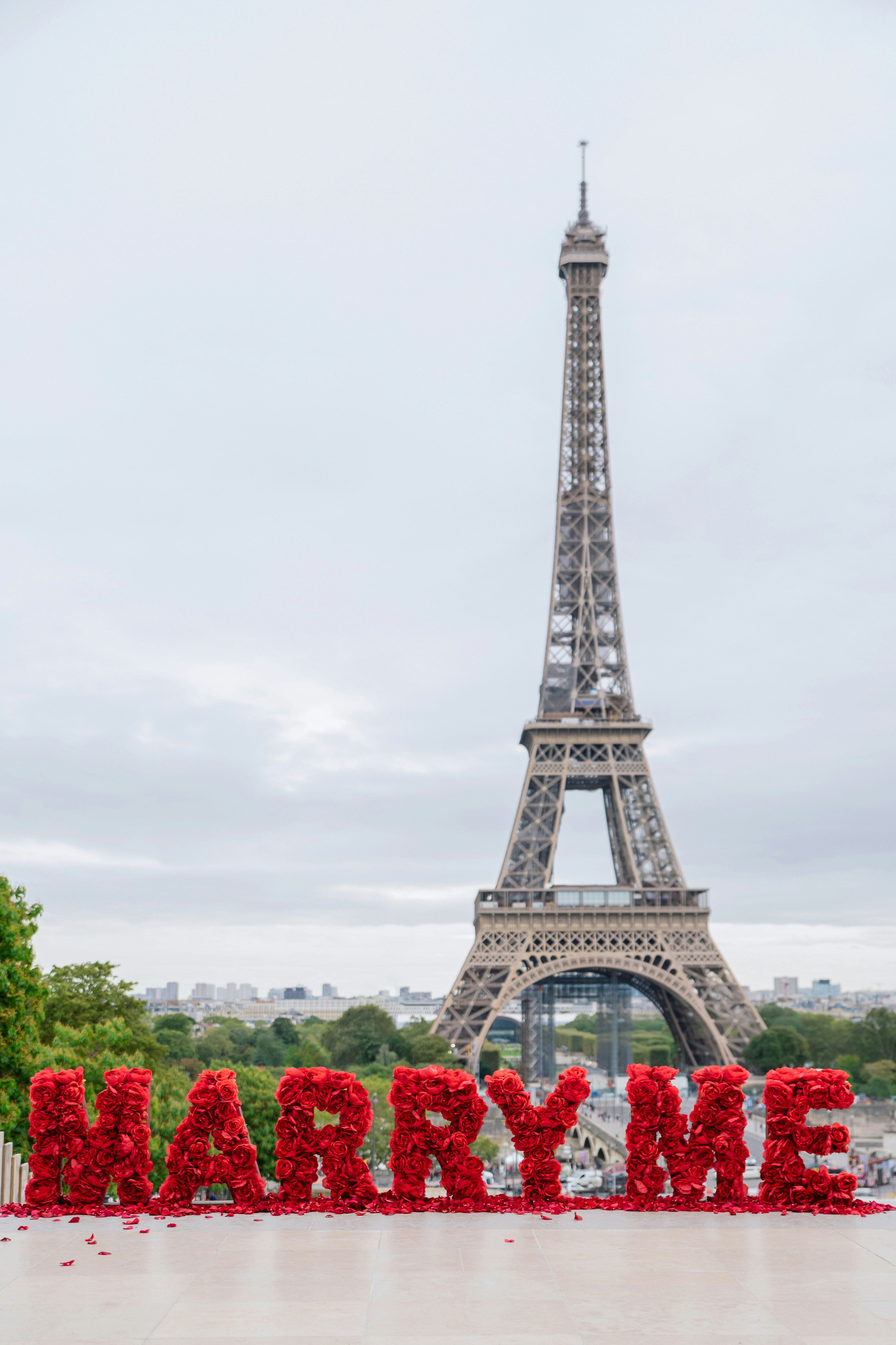 The eiffel tower is in the background of a sign that says marry me