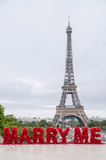 The eiffel tower is in the background of a sign that says marry me