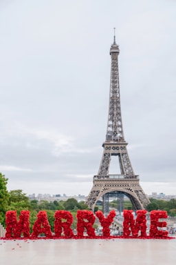 The eiffel tower is in the background of a sign that says marry me