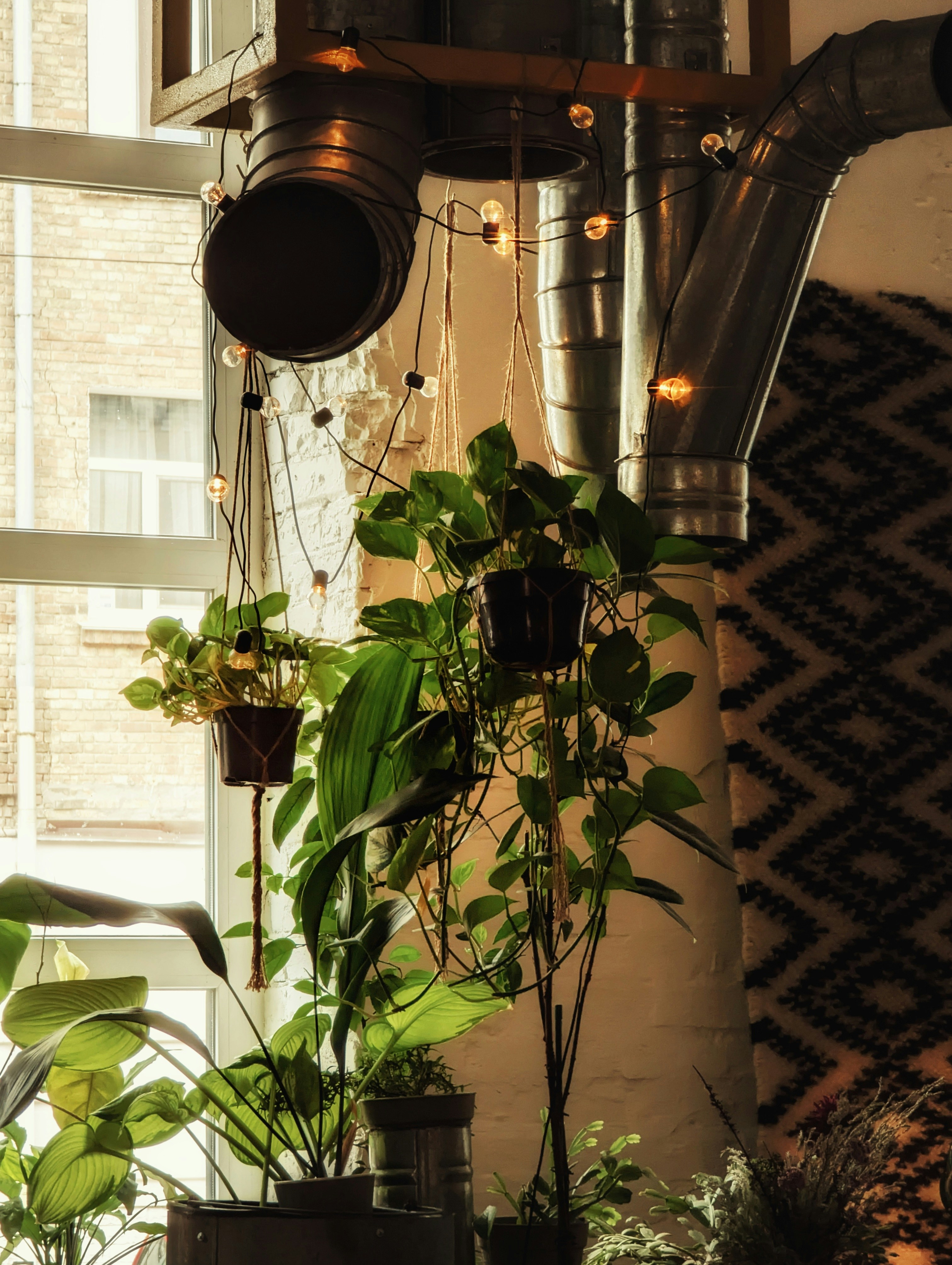 Photo by mineral_of_demon