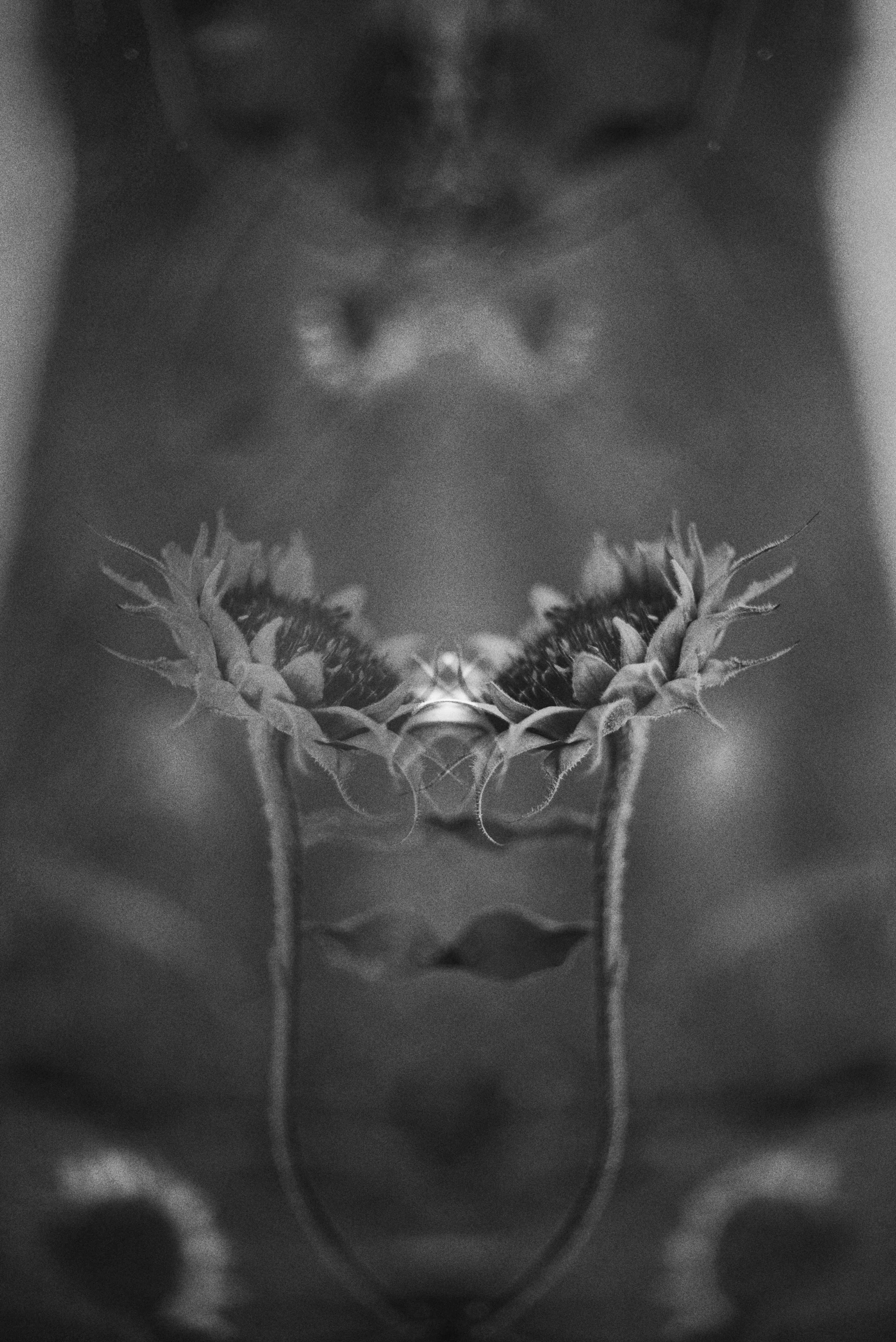 Photo by cherstve_pechivo