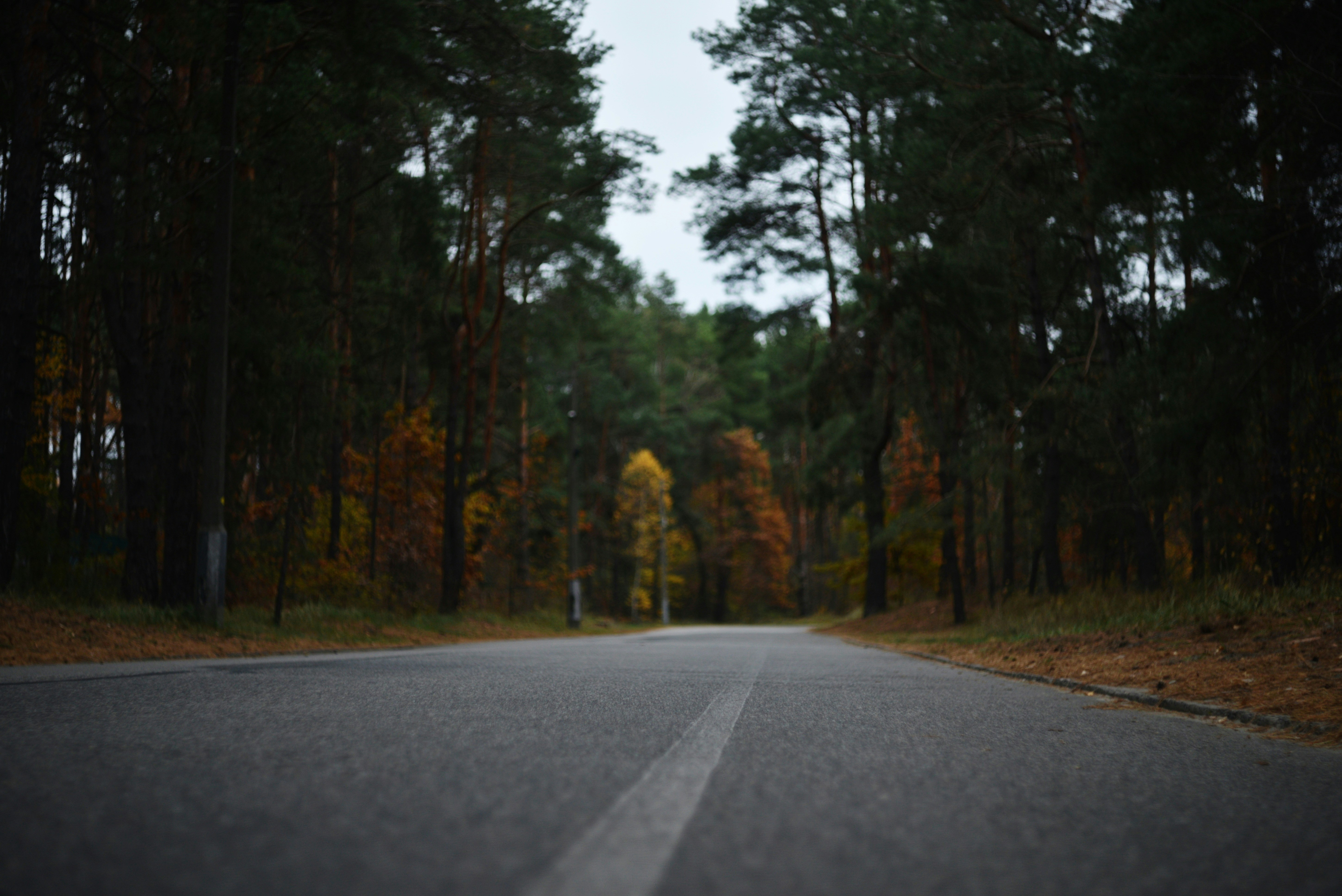 Photo by cherstve_pechivo