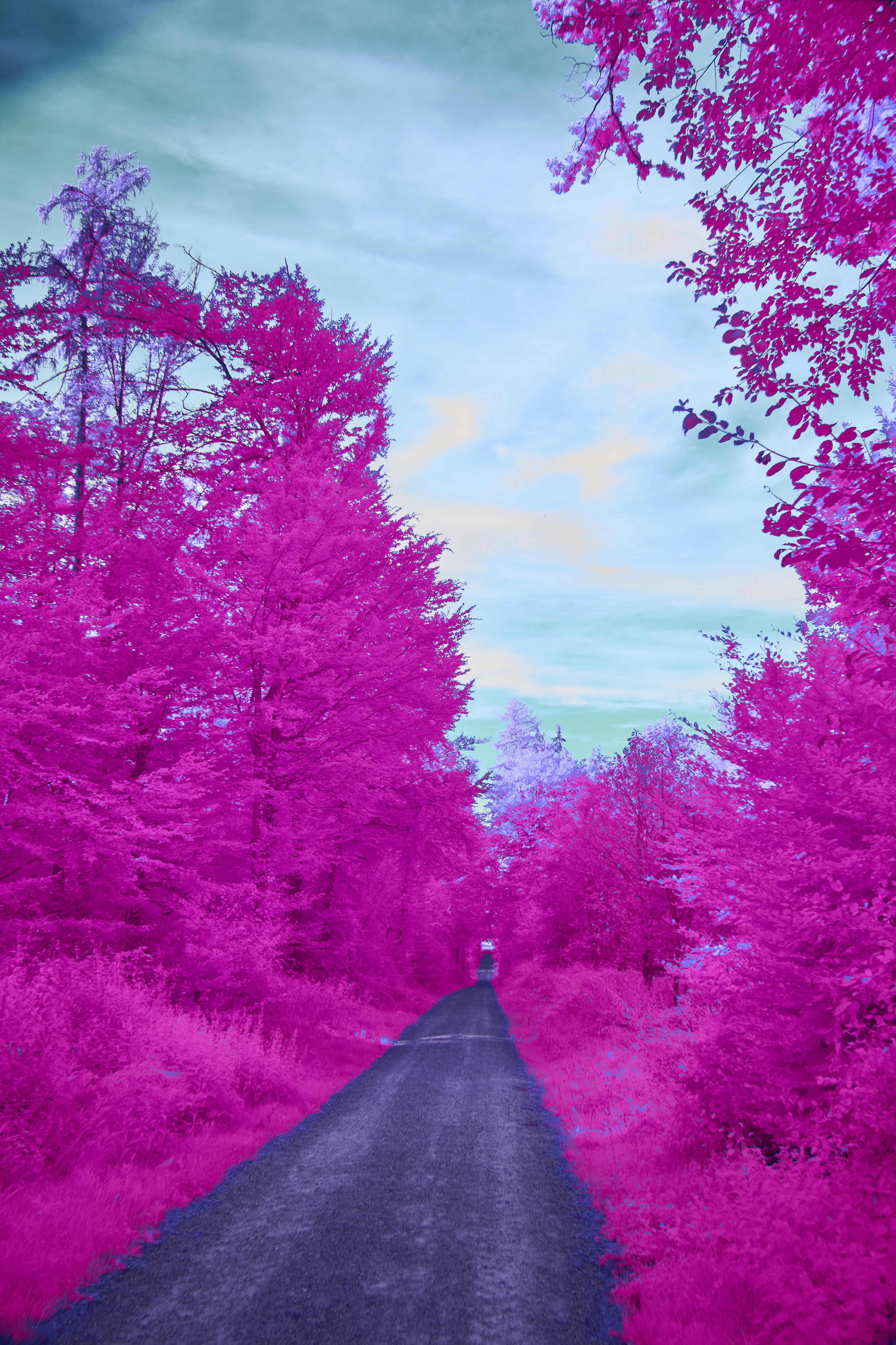 Photo by wolfgang_hasselmann