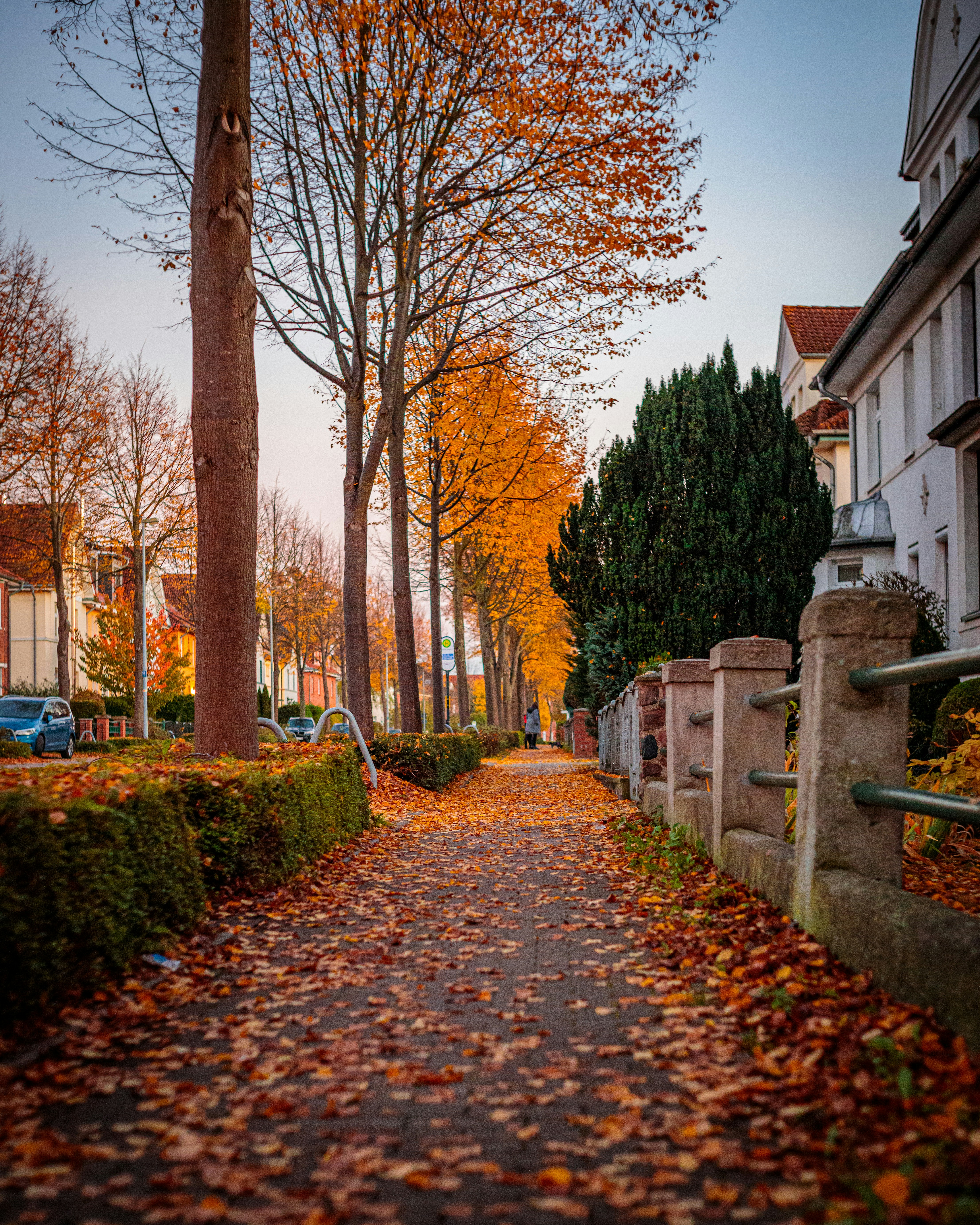 Photo by dreamscape_visions