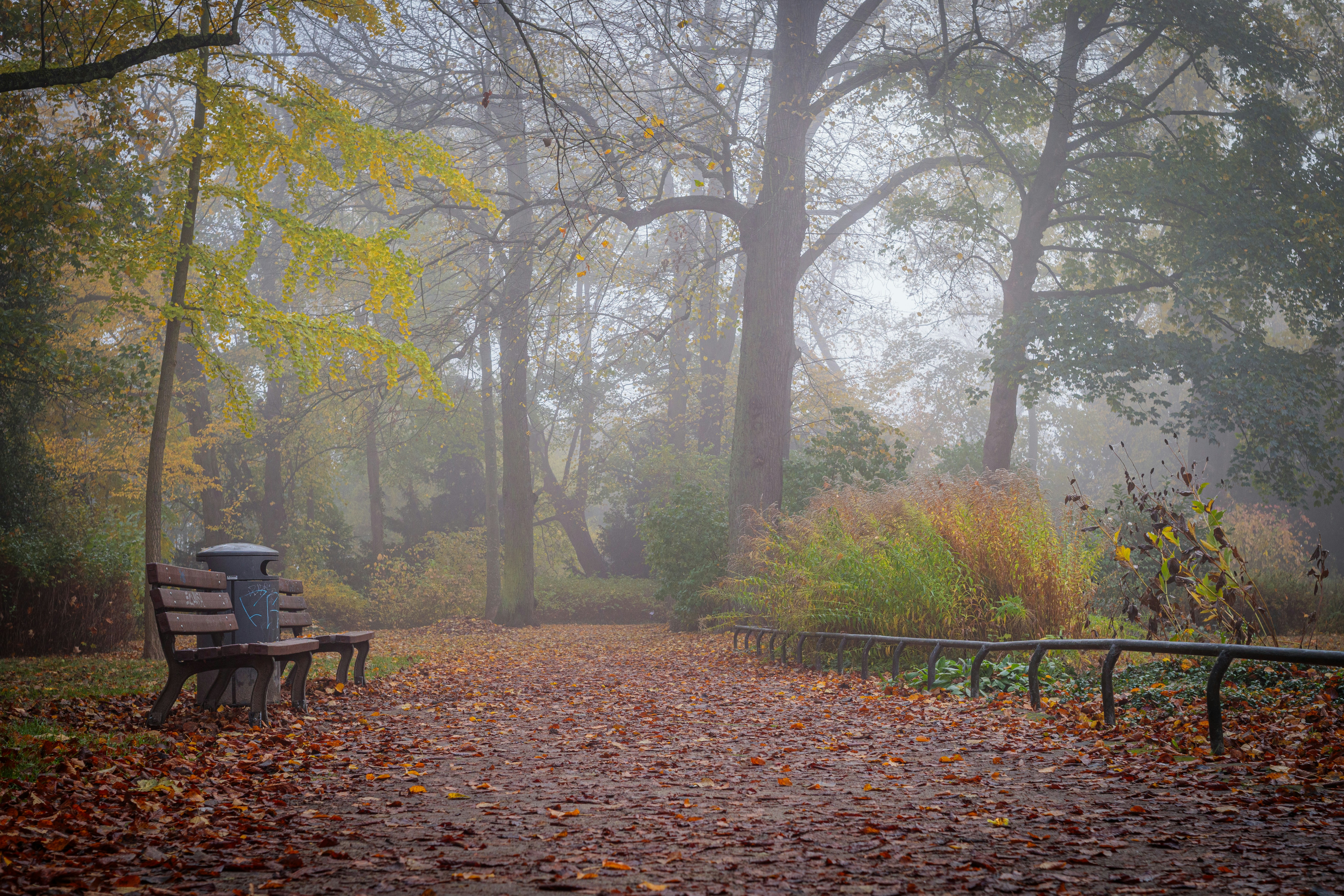 Photo by dreamscape_visions