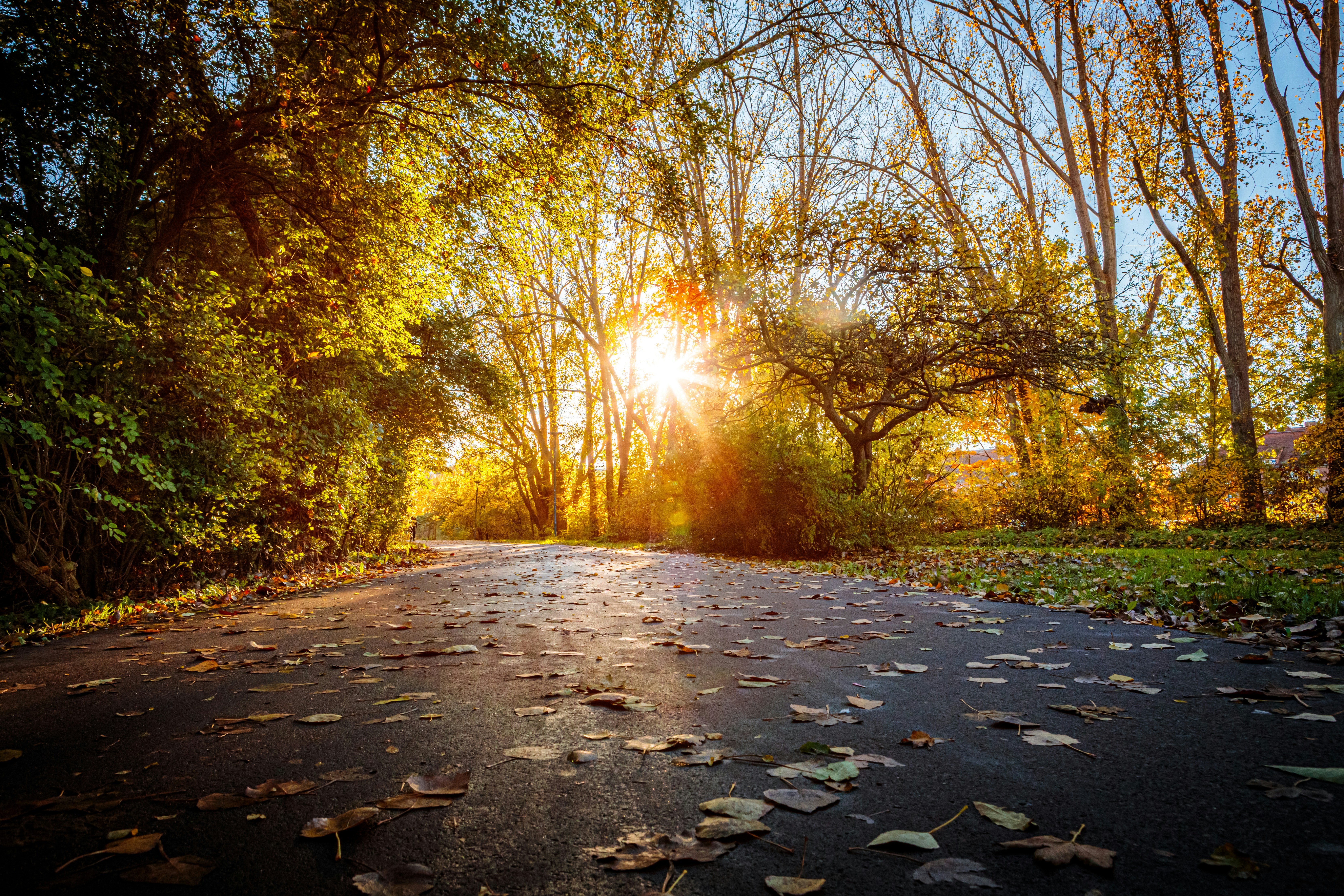 Photo by dreamscape_visions