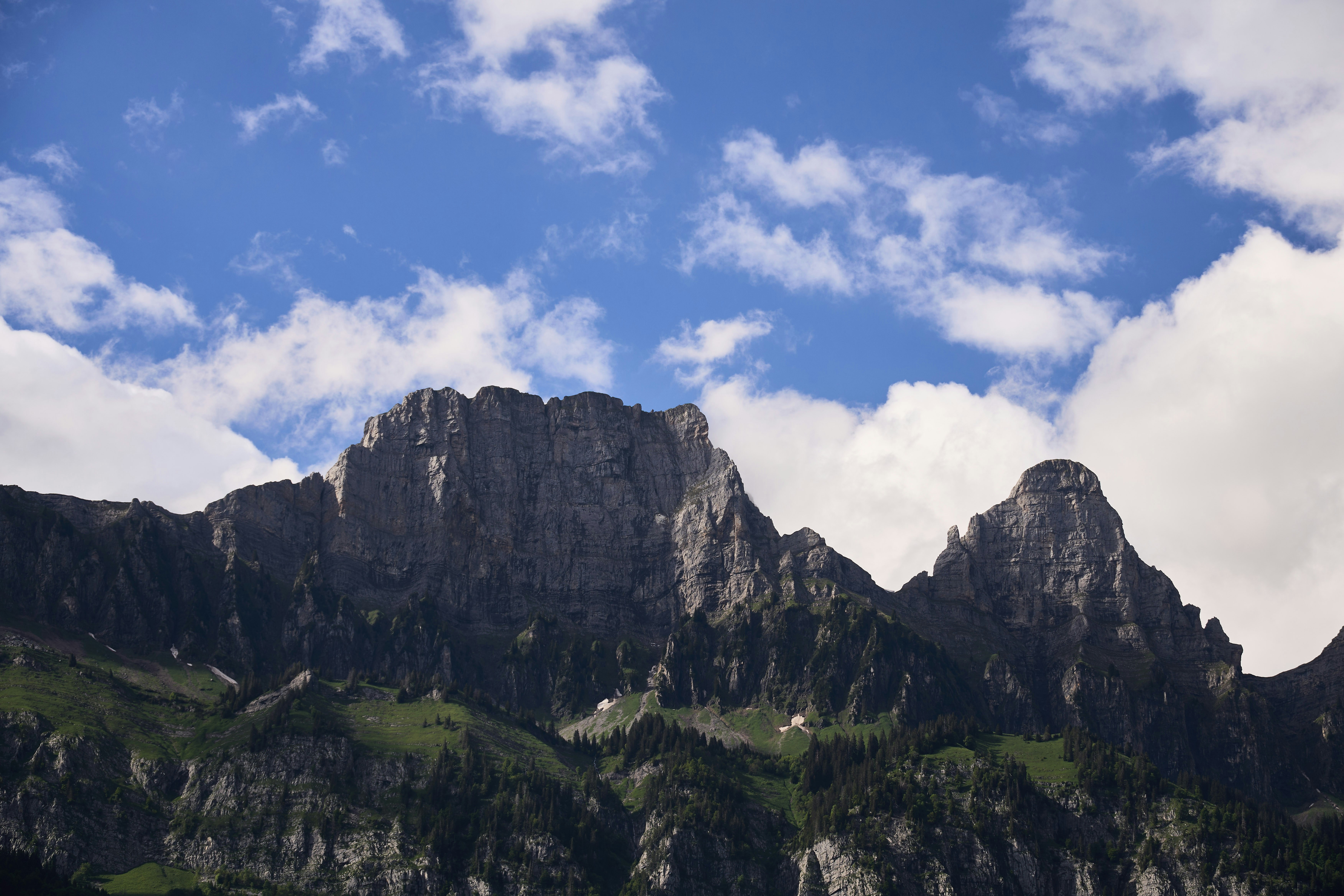 Photo by wolfgang_hasselmann