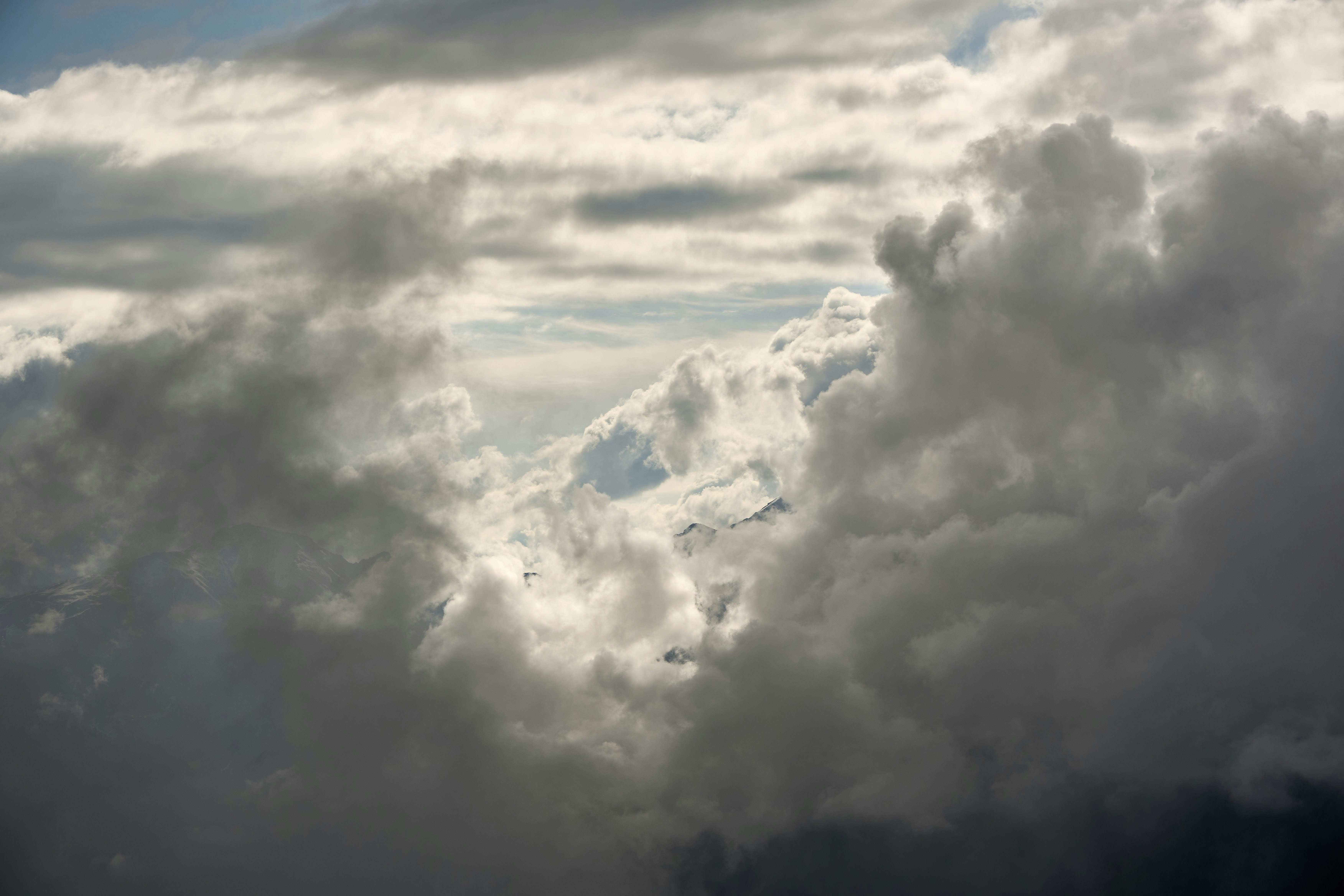 Photo by wolfgang_hasselmann