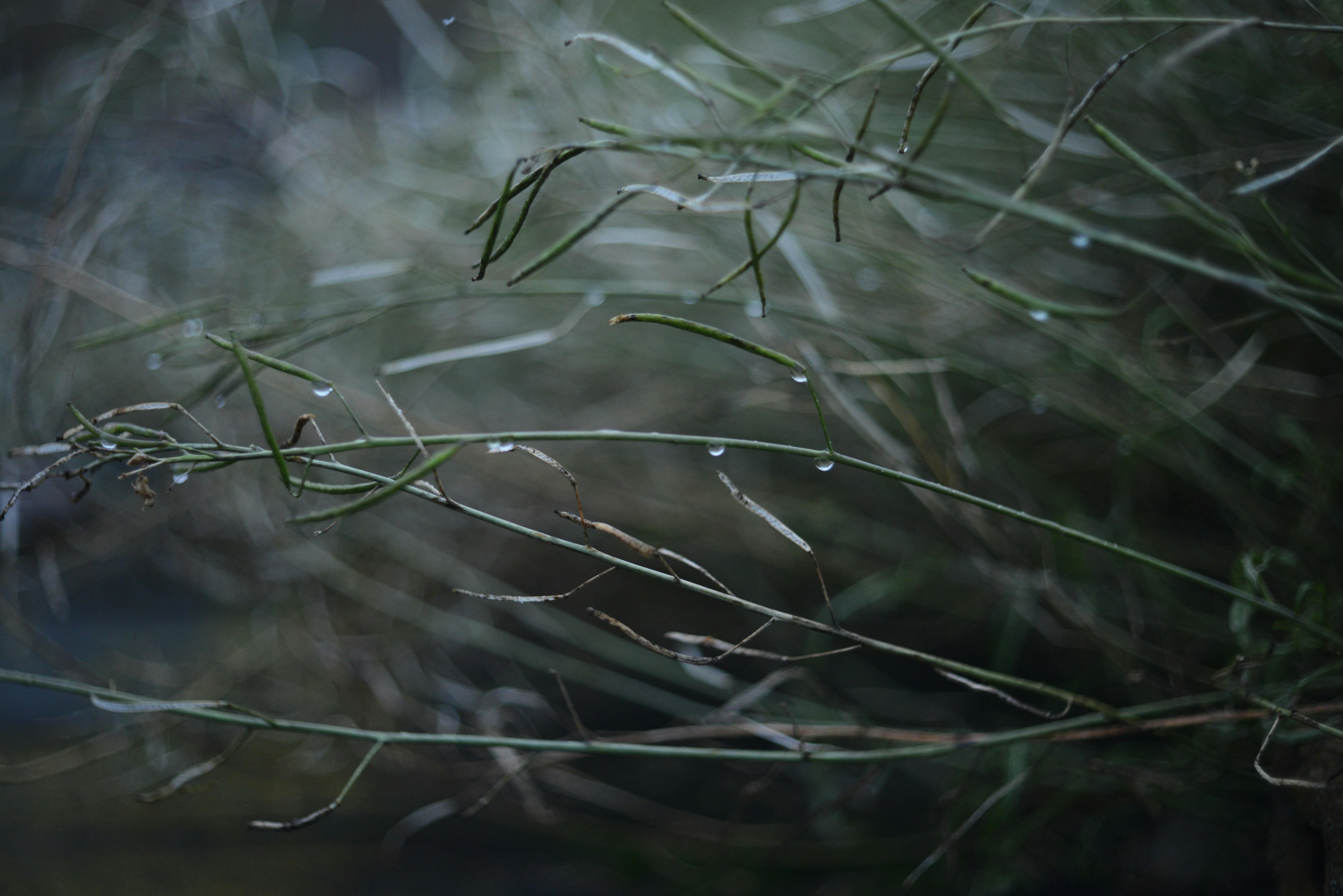 Photo by cherstve_pechivo