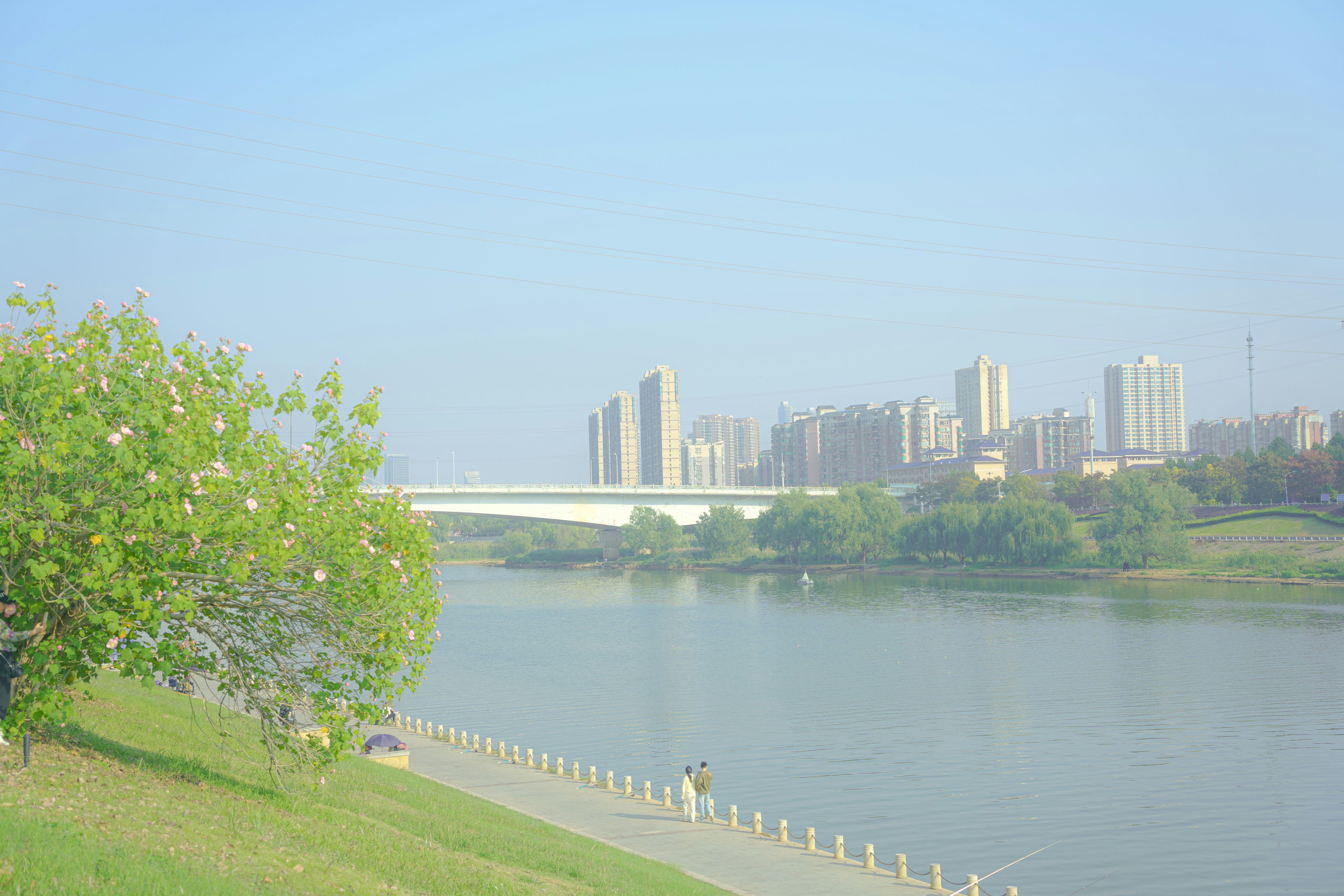 Photo by xiexianghua