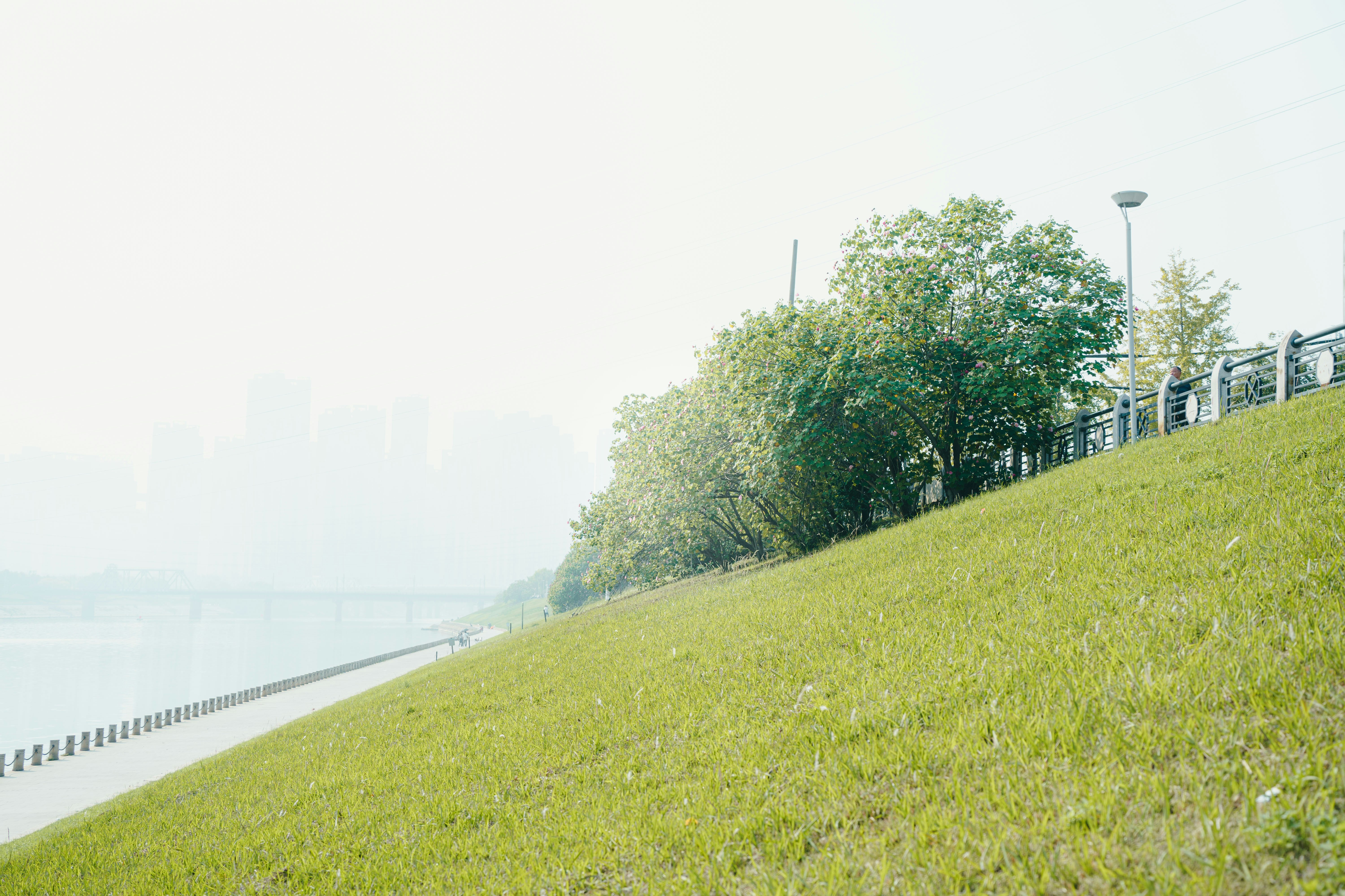 Photo by xiexianghua