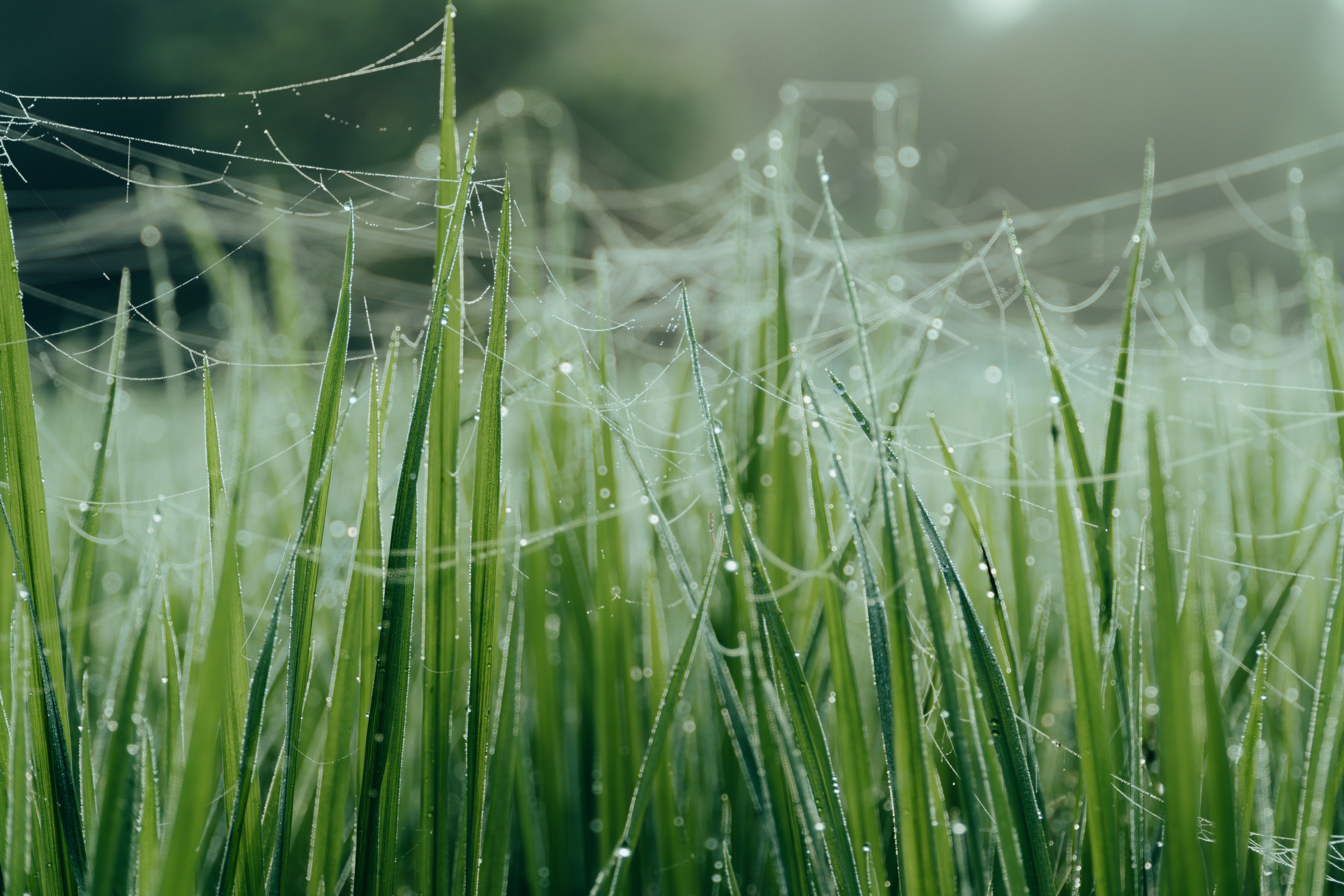 Photo by abdulkayum97