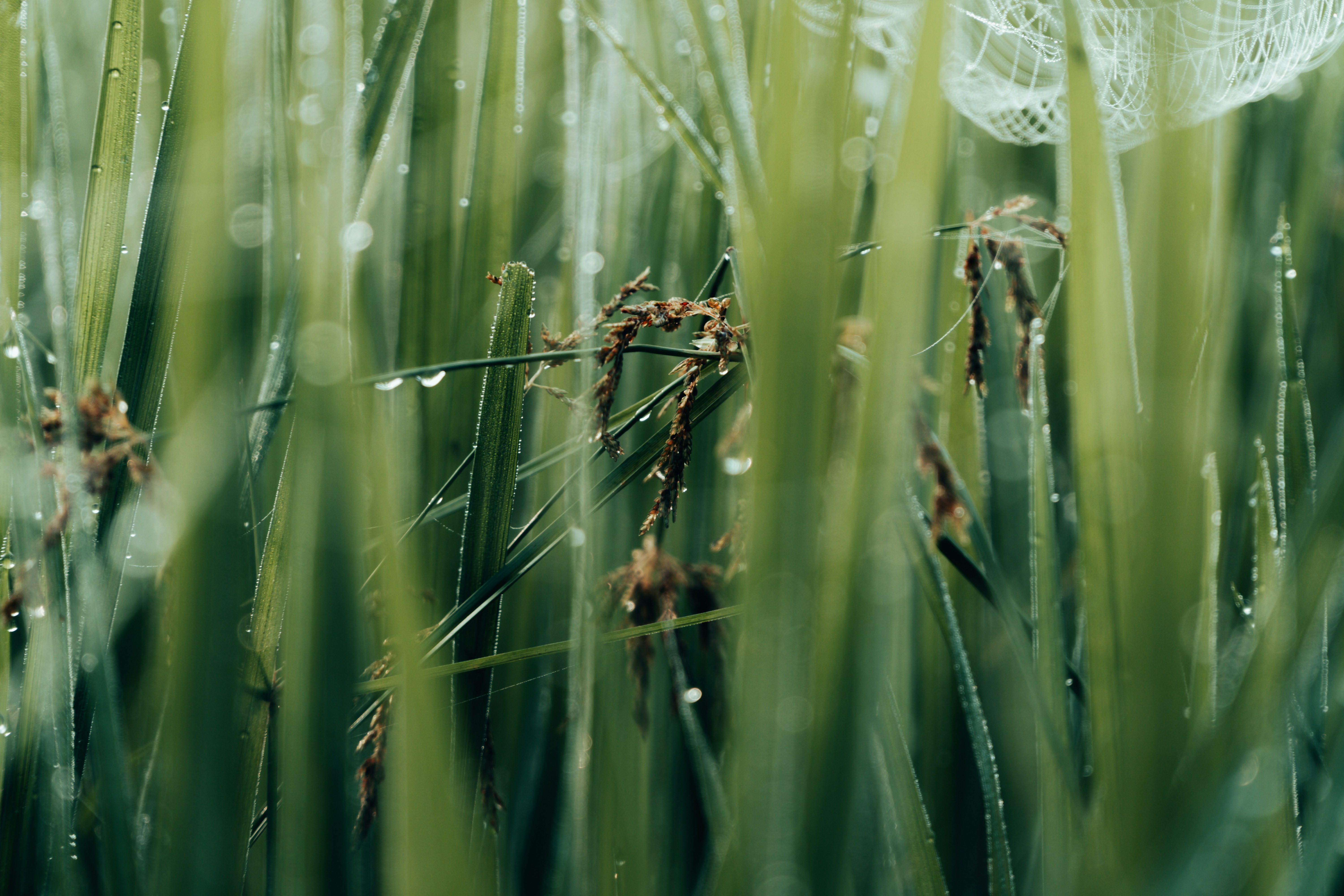 Photo by abdulkayum97